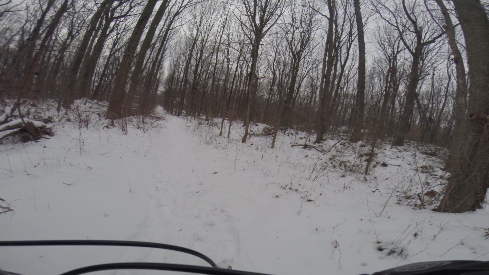 A snowy forest trail surrounded by bare trees, with visible tire tracks in the snow, suggesting recent activity. The scene conveys a serene winter atmosphere with a cloudy sky overhead. Trails seperated by streets mountain bike trail.