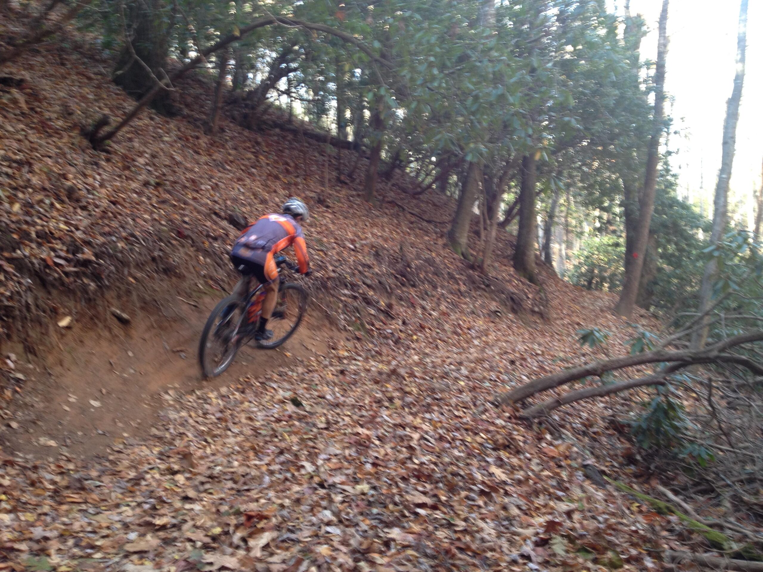 A mountain biker in an orange and black jersey navigates a winding dirt path covered with fallen leaves, surrounded by trees in a wooded area. The scene captures the essence of trail biking in a natural landscape. Bracken Preserve mountain bike trail.