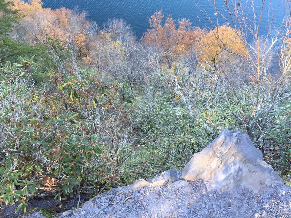 A scenic view from a rocky ledge overlooking a forested area transitioning into autumn colors, with sparse trees and greenery leading down to a body of water below. The atmosphere is calm and nature-oriented, showcasing the beauty of a natural landscape. Tsali Thompson Loop mountain bike trail.