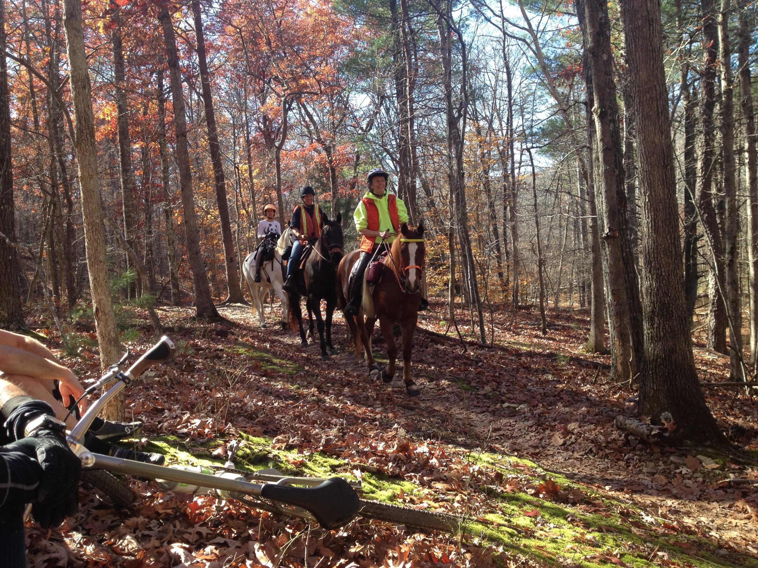 A group of three horseback riders, including an adult and two children, navigate a trail through a forest in autumn. The landscape is filled with colorful fall foliage and the ground is covered with fallen leaves. In the foreground, a person holding a tool is seated on the ground, adding to the scene's outdoor atmosphere. Carvin's Cove Trail system mountain bike trail.
