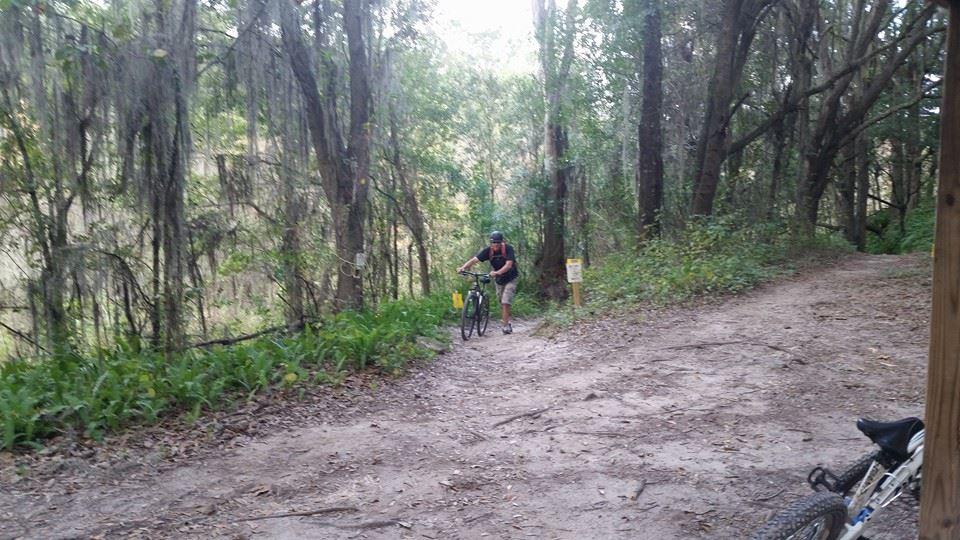 A person riding a bicycle on a dirt trail in a wooded area, surrounded by trees and greenery. The cyclist appears to be navigating a turn in the trail. In the foreground, another bicycle is resting on the ground. Balm Boyette Scrub Preserve mountain bike trail.