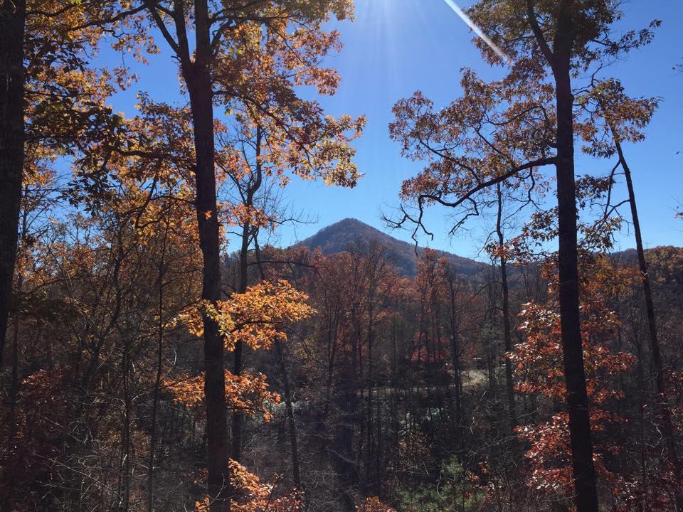 A scenic view of a mountain surrounded by vibrant autumn foliage, with tall trees displaying orange and yellow leaves in the foreground against a clear blue sky. Sunlight filters through the branches, adding a warm glow to the landscape. Tsali Thompson Loop mountain bike trail.
