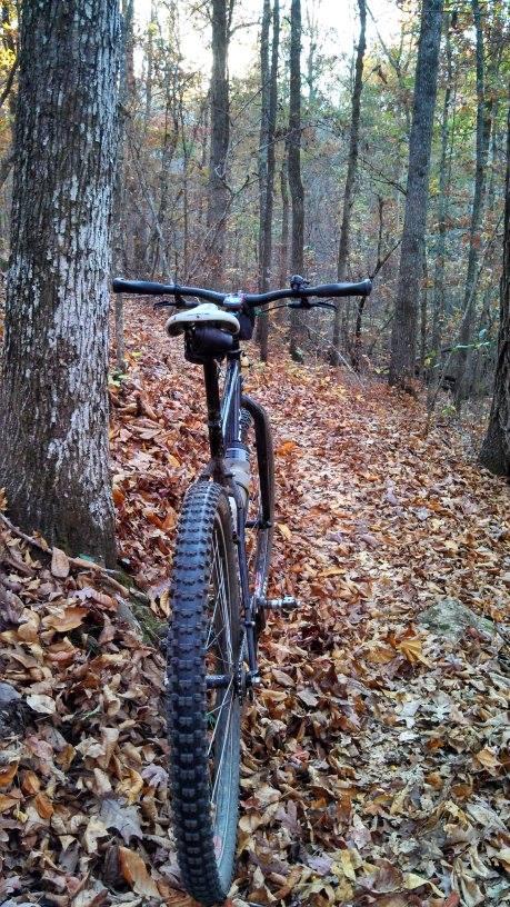 Surly Karate Monkey: A mountain bike parked on a trail surrounded by trees, with fallen autumn leaves covering the ground. The focus is on the rear view of the bike, showing its thick tires and handlebars, while the forest landscape creates a serene, natural backdrop.