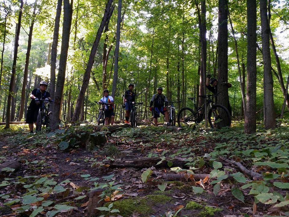 Five mountain bikers stand in a sunny forest, surrounded by tall trees and lush green foliage. The group is posed with their bikes on a dirt path, showcasing a blend of casual and athletic attire. Sunlight filters through the leaves, creating a vibrant and lively atmosphere. Raceway Woods mountain bike trail.