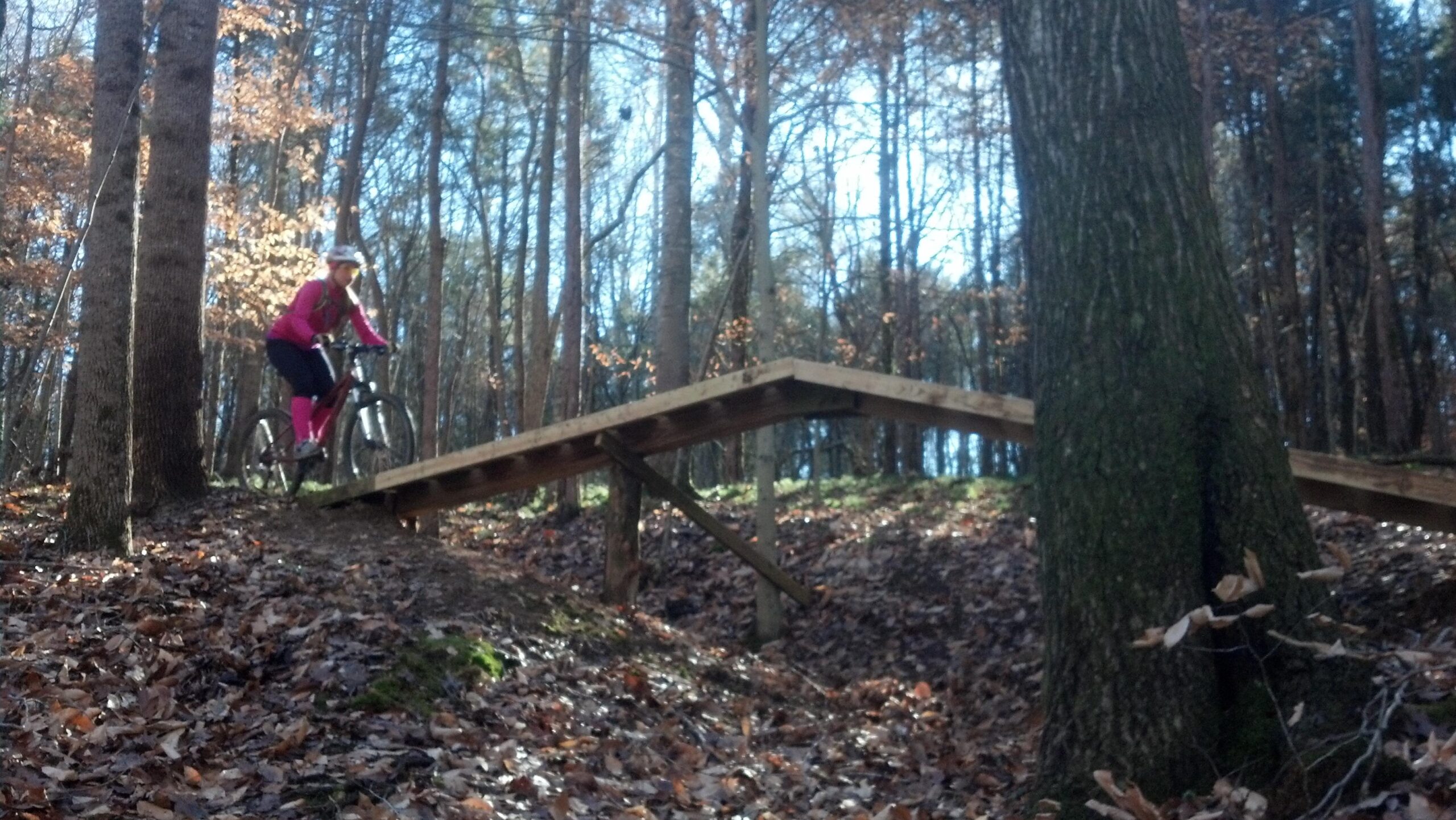 A person wearing a pink outfit is riding a mountain bike on a wooden ramp in a forested area. The ground is covered with fallen leaves, and trees with sparse foliage surround the scene, suggesting early autumn. Green River mountain bike trail.