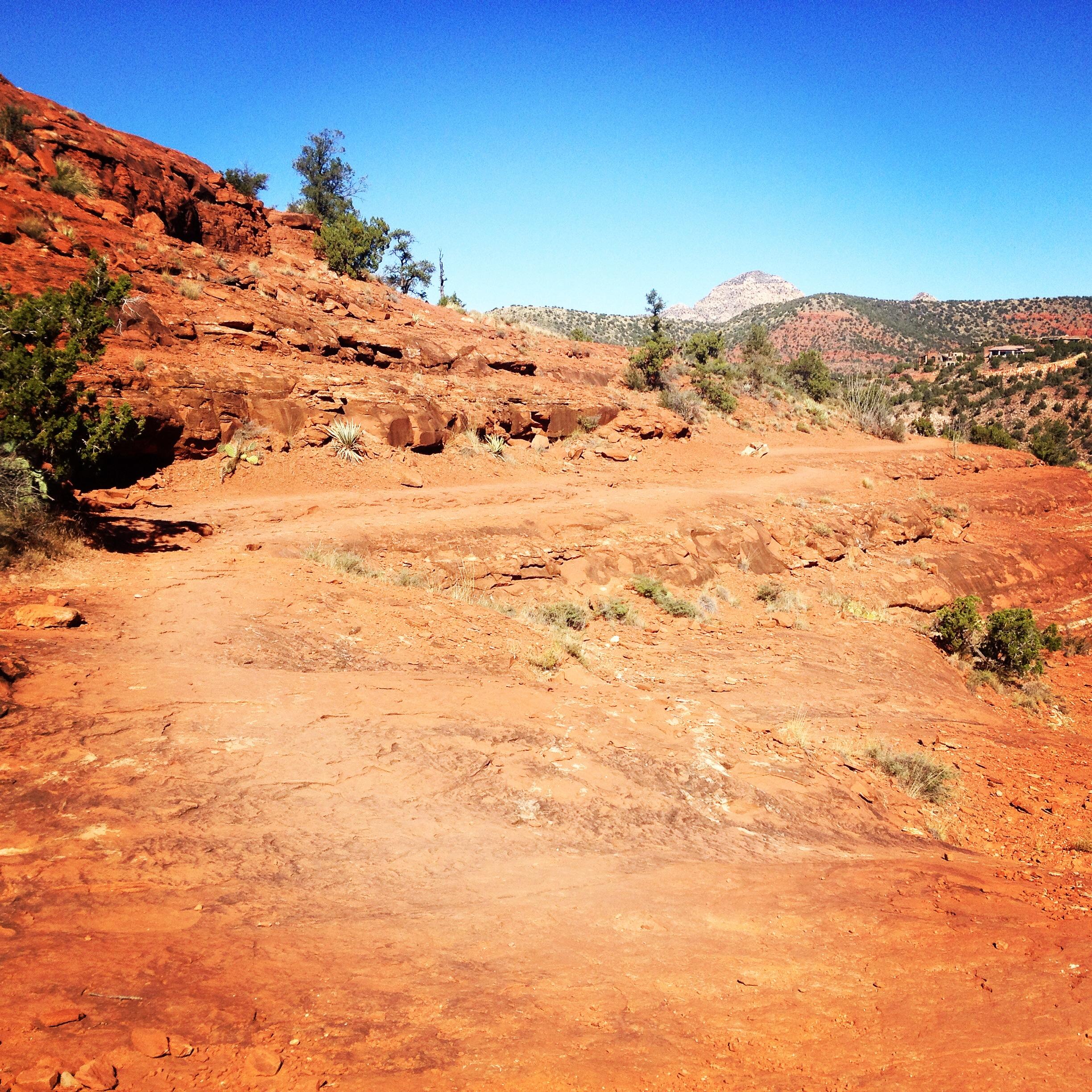A rocky trail winding through a desert landscape, featuring red earth and sparse vegetation, under a clear blue sky. In the background, distant mountains can be seen, adding depth to the scenic view. Templeton mountain bike trail.