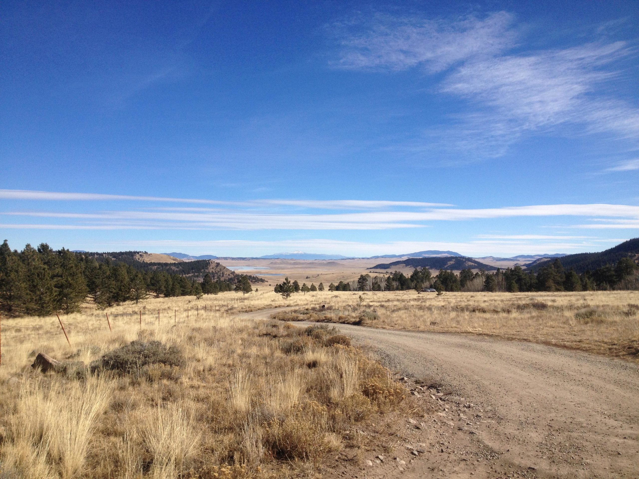 A scenic view of a dirt road winding through a vast, open landscape with dry grass and sparse vegetation. In the background, rolling hills and distant mountains under a bright blue sky with wispy clouds. Pine trees line the left side of the image, adding contrast to the golden grasses of the foreground. Salt Creek Trail mountain bike trail.