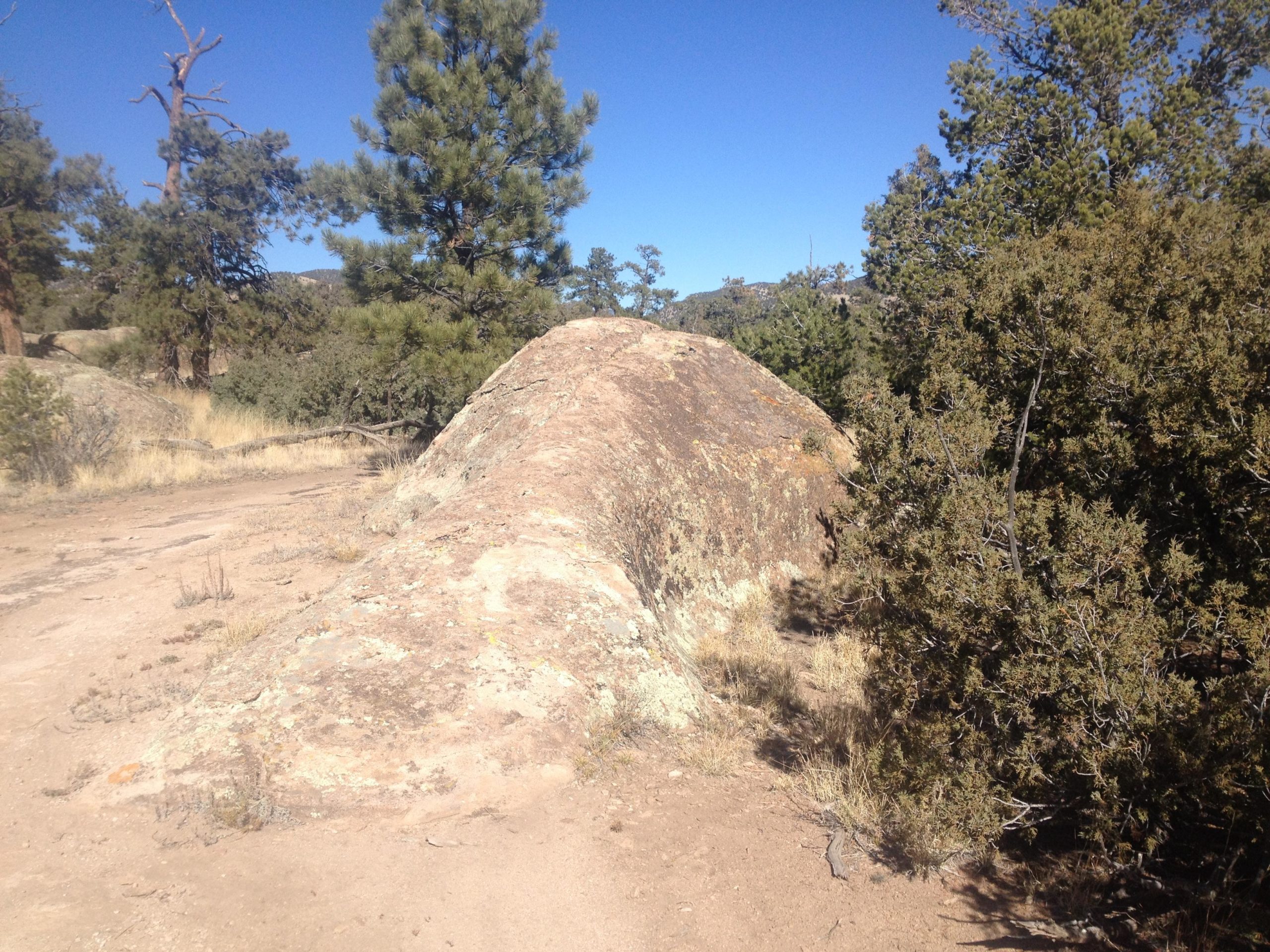 A large, weathered boulder partially covered with moss and lichen, surrounded by sparse vegetation, including shrubs and pine trees, under a clear blue sky. The dirt path nearby indicates a natural setting, likely in a rocky outdoor area or forest. Penitente Canyon mountain bike trail.
