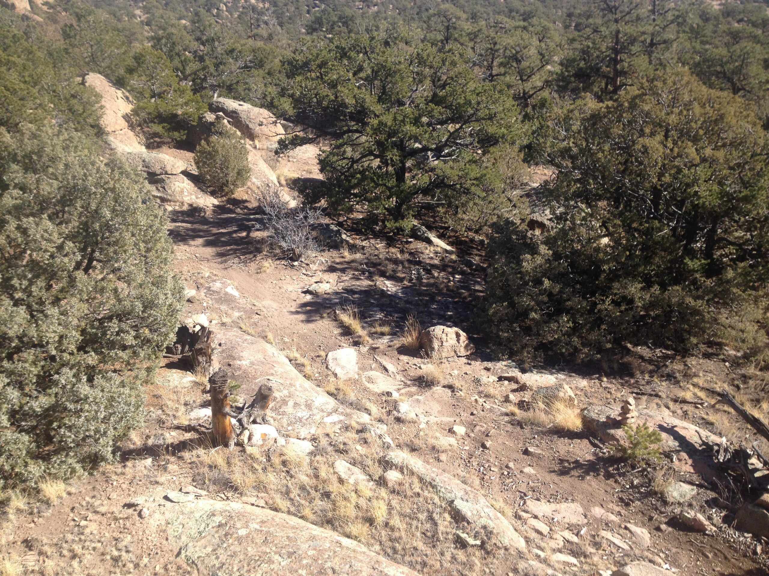 A rocky landscape featuring scattered boulders and patches of grass, surrounded by various trees. The scene depicts a natural setting with sunlight casting shadows over the terrain. Penitente Canyon mountain bike trail.