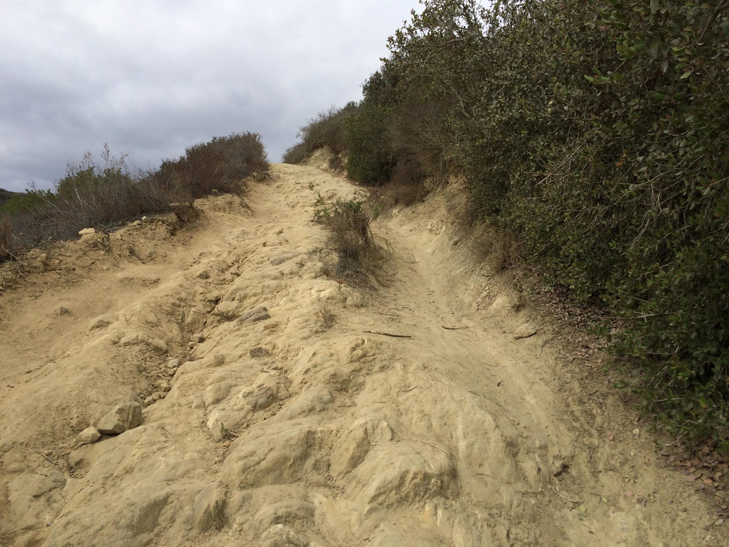 A rocky hiking trail winding upward through sparse vegetation under a cloudy sky. The path is uneven, made of dirt and stones, with green bushes lining both sides. Lynx mountain bike trail.