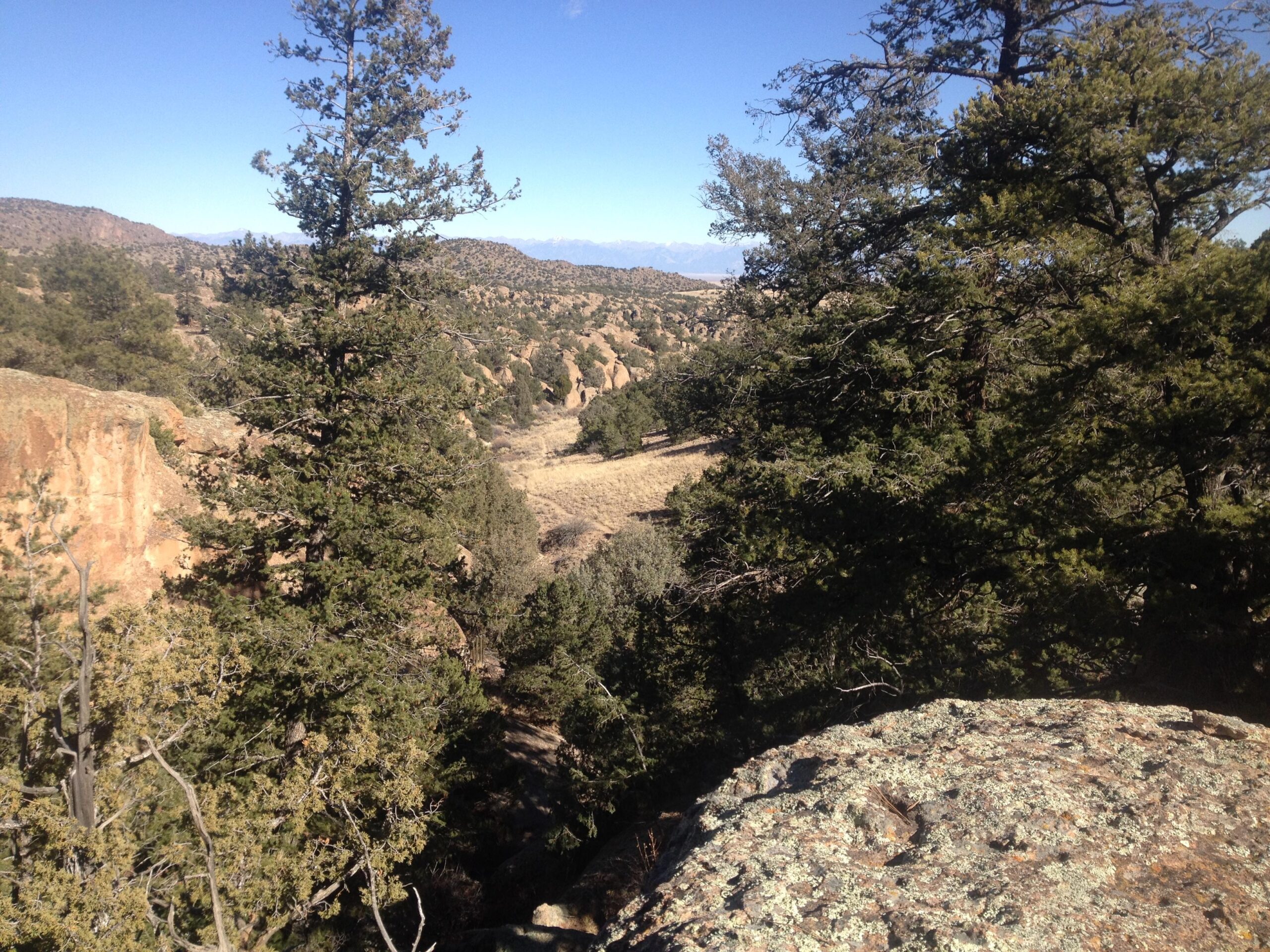 A scenic view of a rocky landscape filled with trees, with a background of rolling hills and mountains under a clear blue sky. The foreground includes green foliage and rocky terrain, creating a natural, tranquil setting. Penitente Canyon mountain bike trail.