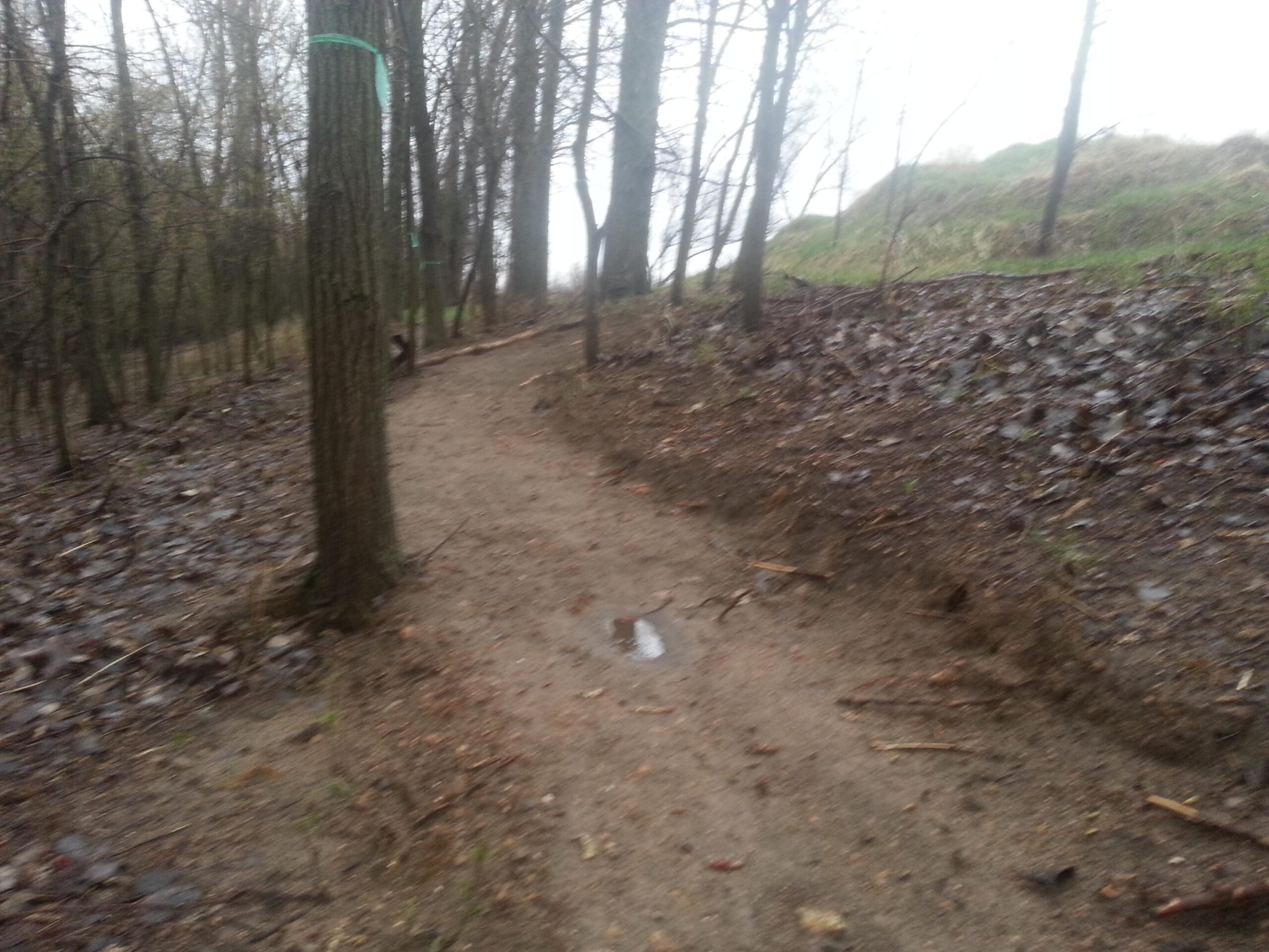 A narrow, winding dirt path through a wooded area, lined with trees and scattered fallen leaves. The ground appears damp, and the atmosphere is overcast, suggesting a recent rain or mist. Kiwanis - Mankato mountain bike trail.
