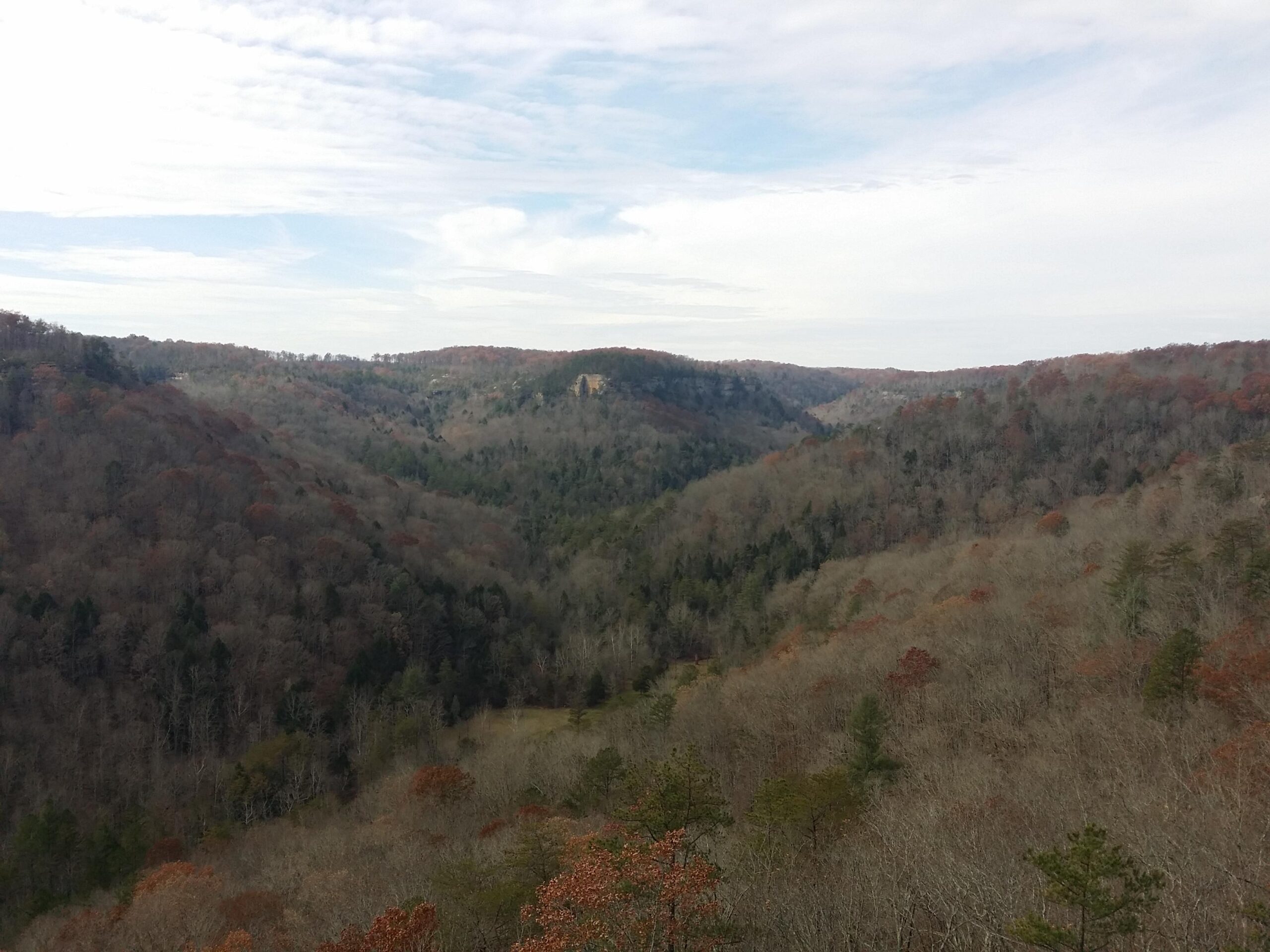 A scenic view of a lush valley surrounded by rolling hills, featuring a mix of evergreen and deciduous trees showing hints of autumn colors. The sky is partly cloudy, creating a serene atmosphere. Big South Fork mountain bike trail.