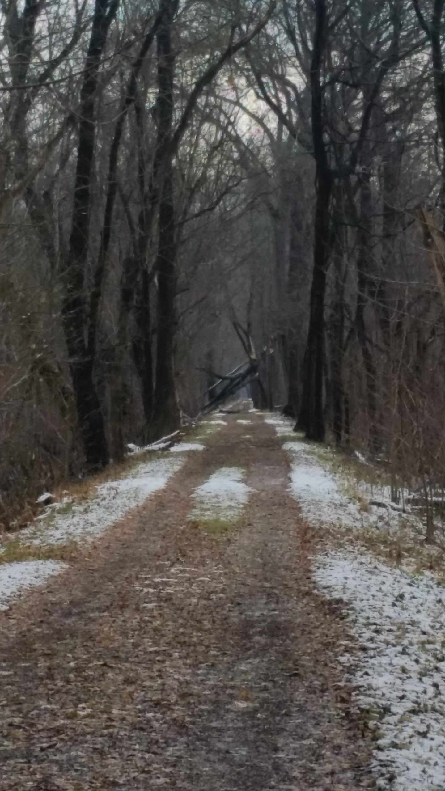 A narrow dirt path lined with trees on both sides, featuring scattered leaves and a light dusting of snow. The path appears to extend into the distance, creating a sense of depth in a tranquil, wooded area. C&O Canal mountain bike trail.