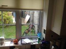 A view from a kitchen window showing a garden outside. A bicycle is partially visible leaning against the wall, with a piece of cardboard resting against it. There are items on the kitchen counter, including cleaning supplies and a bowl of fruit. The window is partially open, letting in natural light. Sorel Point to L'Etacq mountain bike trail.