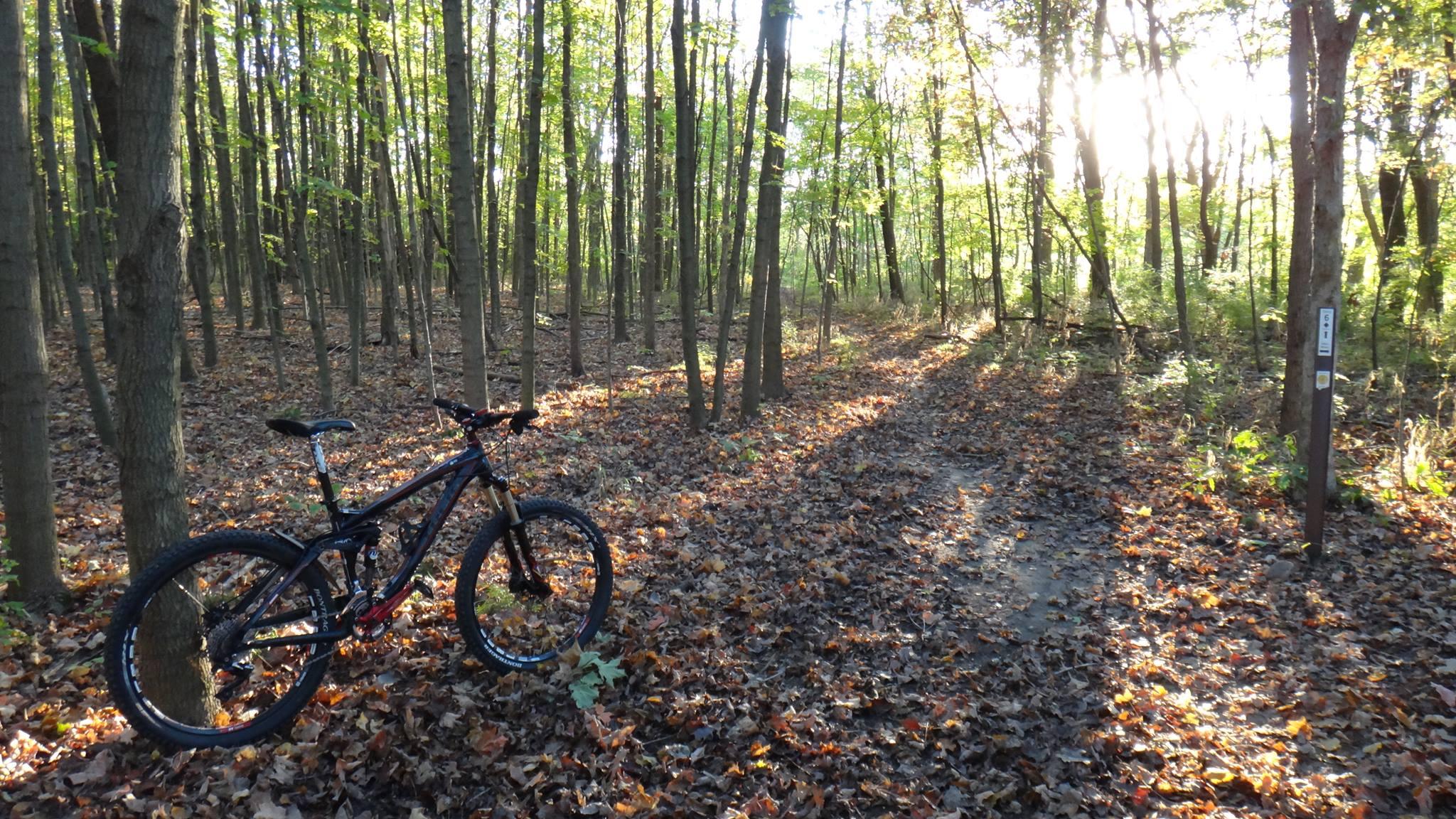 A black mountain bike resting on a trail surrounded by trees in a forest during autumn. The ground is covered with colorful fallen leaves, and sunlight filters through the trees, creating a warm glow in the scene. A trail marker stands in the background, indicating the path ahead. Kickapoo mountain bike trail.