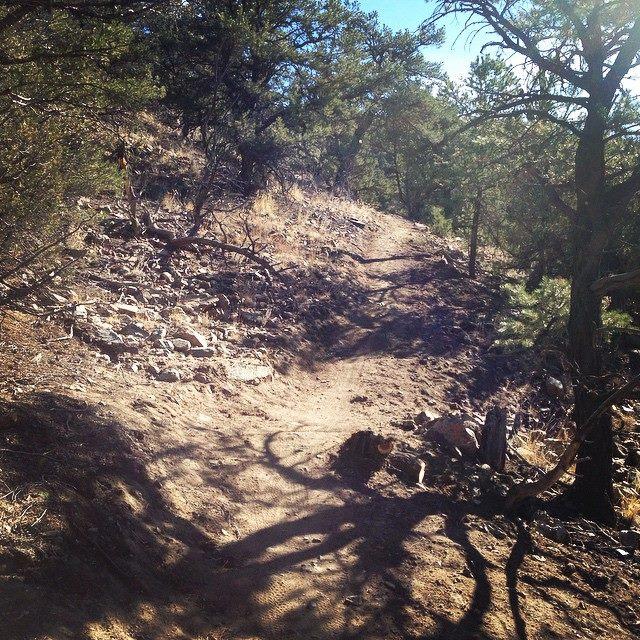 A dirt hiking trail winding through a rocky landscape, surrounded by trees and brush under a clear sky. Shadows of the trees stretch across the path, indicating sunlight filtering through the foliage. Arkansas Hills mountain bike trail.