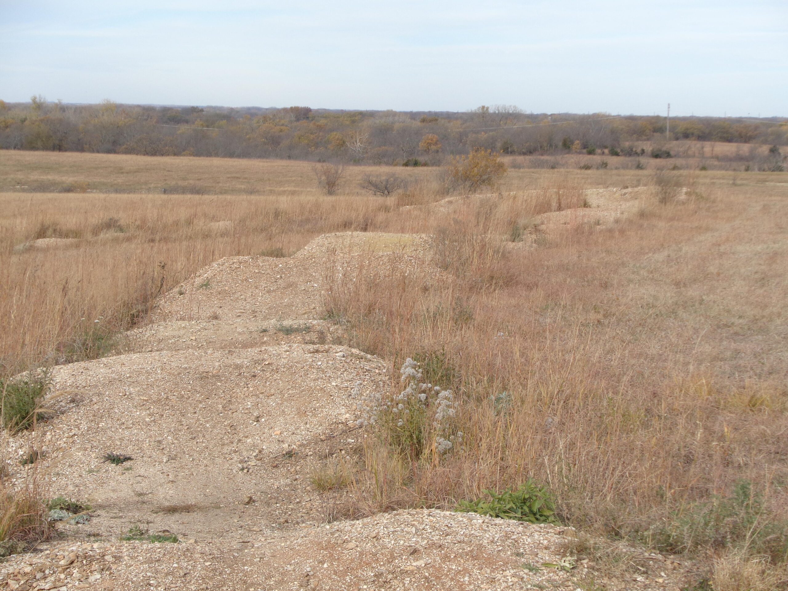 A landscape view showing a dirt path lined with small mounds, surrounded by tall grasses and sparse vegetation. In the background, a wide expanse of land stretches out under a pale sky, with trees dotting the horizon. The scene captures a tranquil, natural setting. Camp Alexander Trails mountain bike trail.