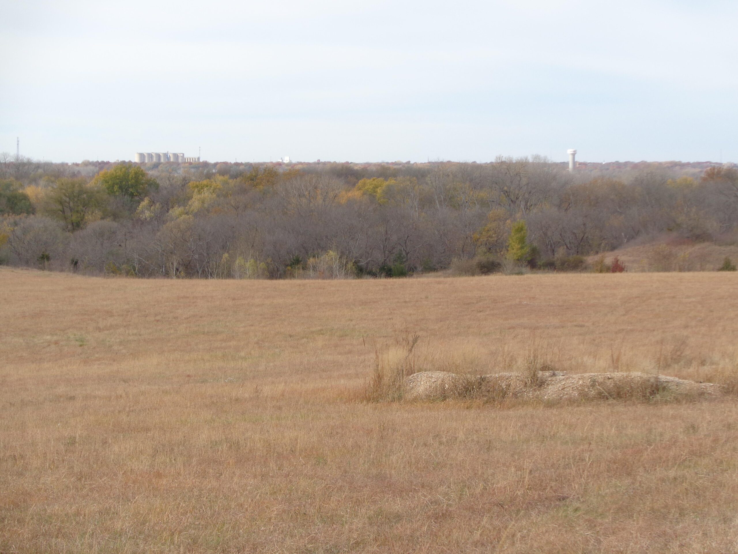 A wide view of a grassy field with dry, golden grass in the foreground, transitioning into a tree line with varying shades of green and brown in the background. In the distance, structures such as silos and a water tower are faintly visible against a cloudy sky. Camp Alexander Trails mountain bike trail.