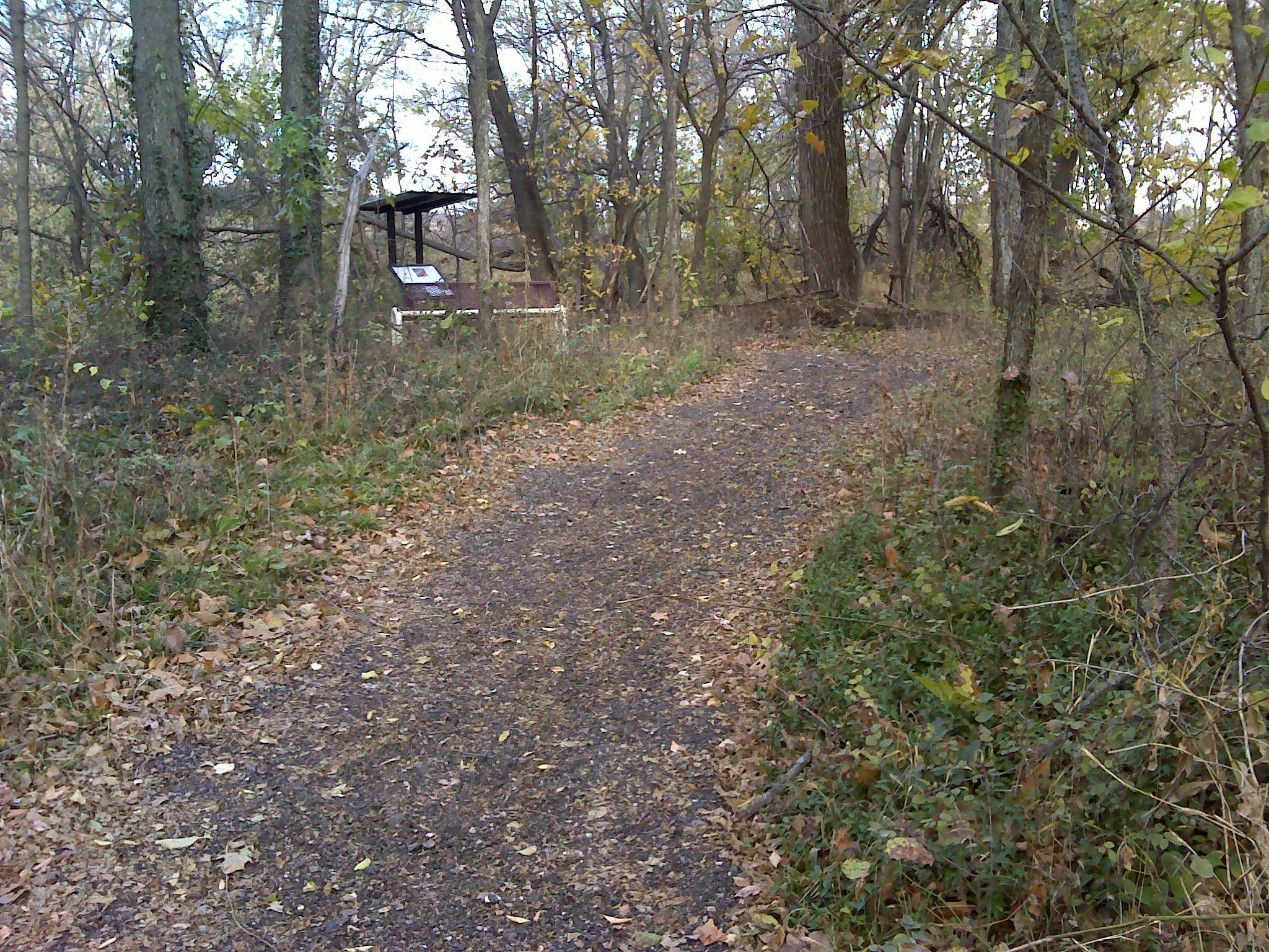 A winding dirt path surrounded by trees and foliage, with fallen leaves and a small wooden observation area in the background. The scene captures the tranquility of a natural setting in autumn. ESU Trail mountain bike trail.