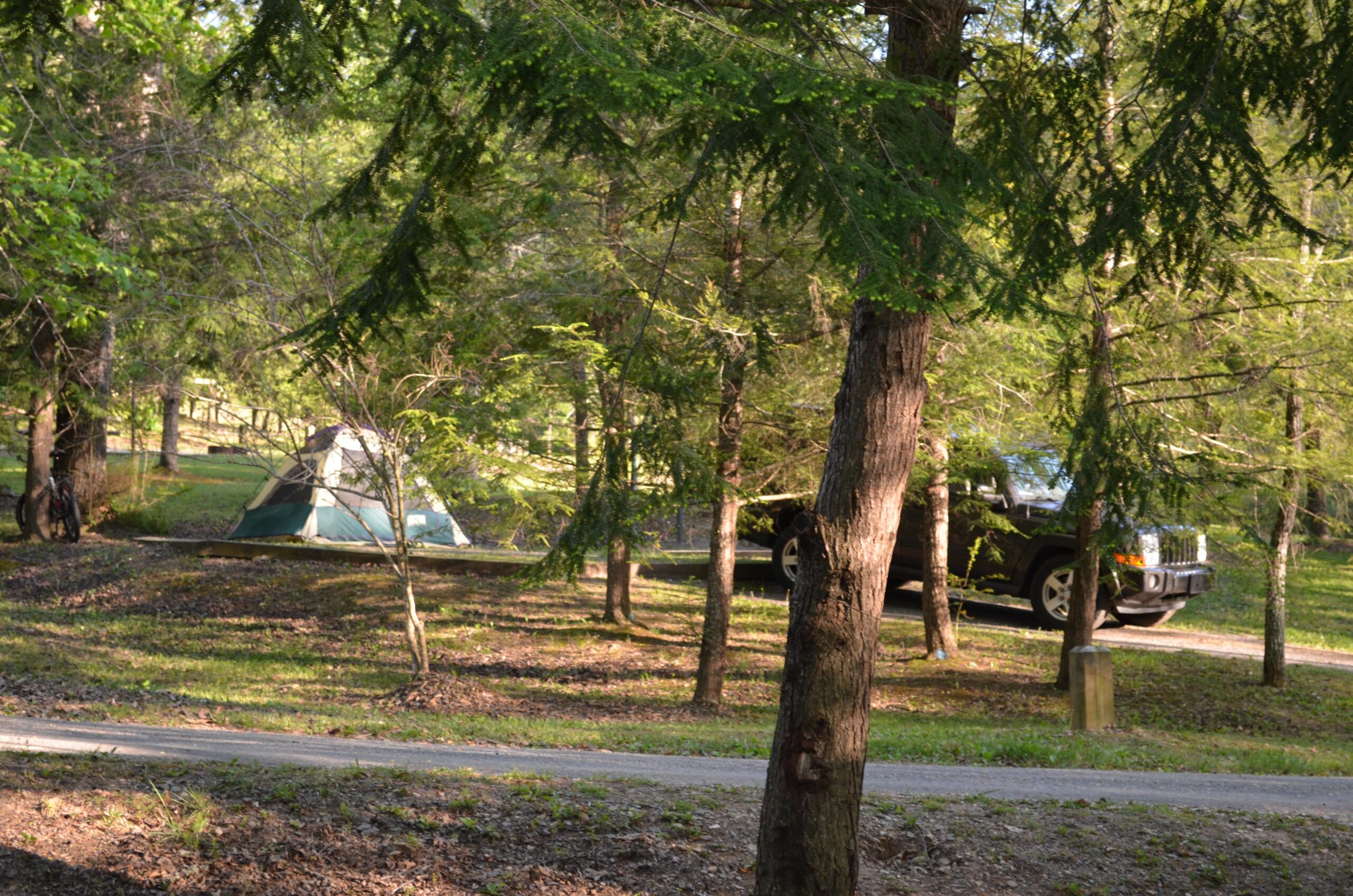 A serene campsite set among trees, featuring a green and beige tent and a parked vehicle next to a gravel path. Sunlight filters through the foliage, creating a peaceful outdoor atmosphere ideal for camping. Tsali Thompson Loop mountain bike trail.