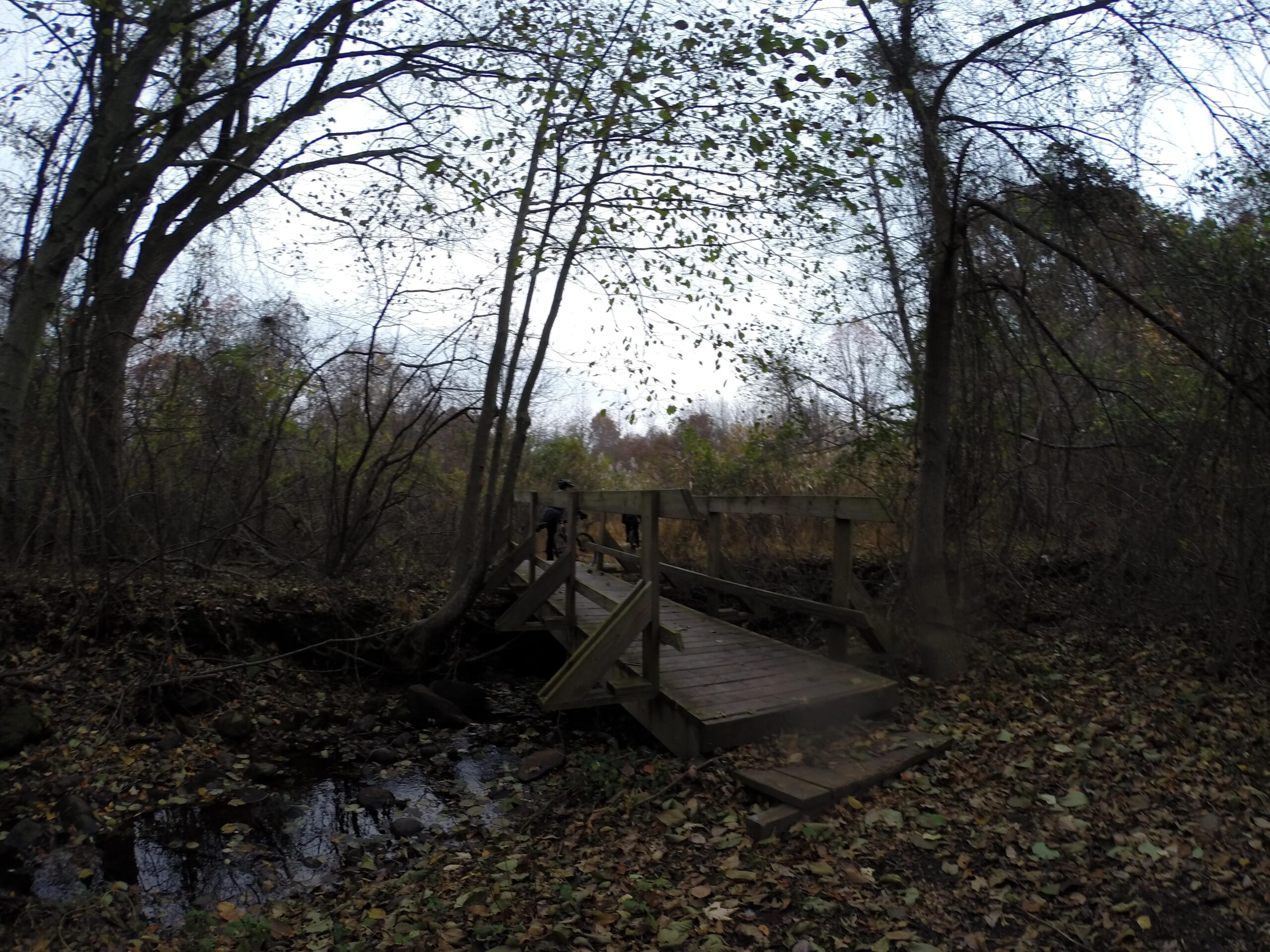 A wooden bridge crossing a small stream, surrounded by trees and fallen leaves, in a serene, dense forested area. The scene is slightly overcast, creating a subdued, tranquil atmosphere. Richmond Avenue and Forest Hill road mountain bike trail.