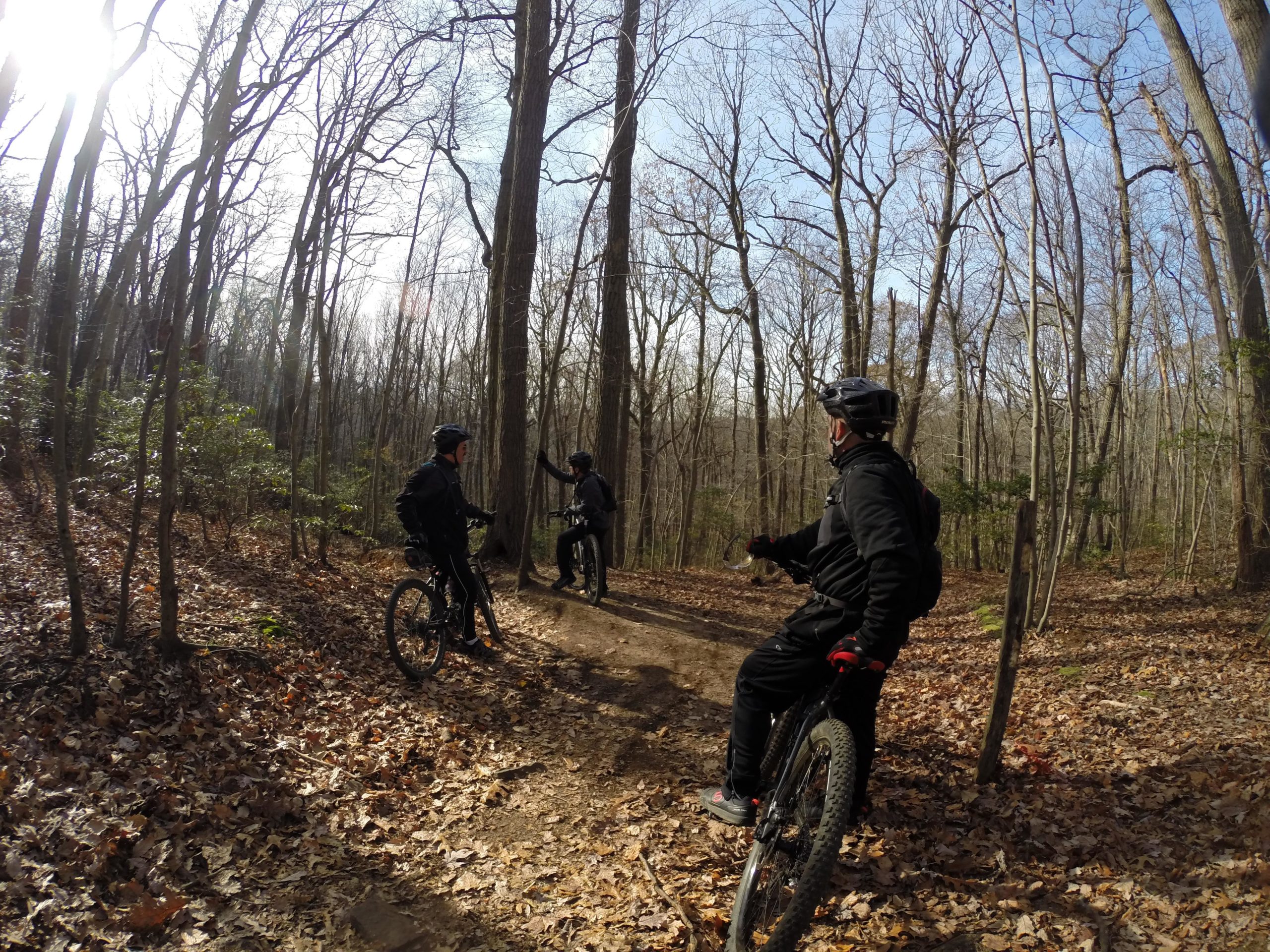 A group of three mountain bikers in a forested area during winter, with bare trees and fallen leaves surrounding them. One rider is standing beside a tree, while the others are positioned on their bikes, engaged in conversation. The sunlight filters through the trees, creating a bright atmosphere. Hartshorne Woods Park mountain bike trail.