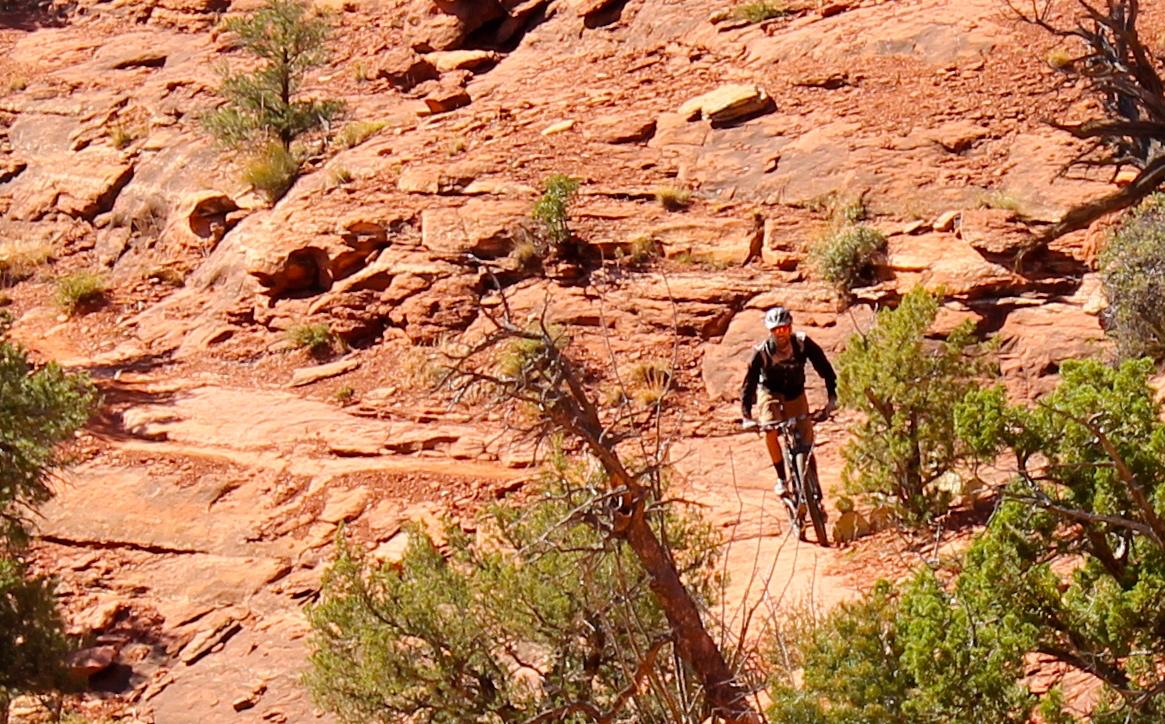 Mountain biker navigating a rocky trail surrounded by sparse vegetation and red rock formations. Upper Dry Creek Area Trails mountain bike trail.