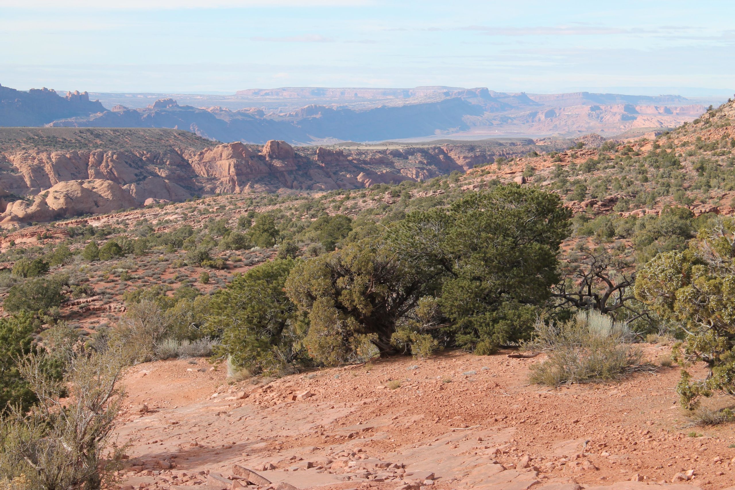 A vast, rugged landscape featuring red rock formations, rolling hills, and patches of greenery under a clear blue sky. The foreground shows scattered shrubs and trees, leading into a distant view of layered cliffs and plateaus. Flat Pass mountain bike trail.