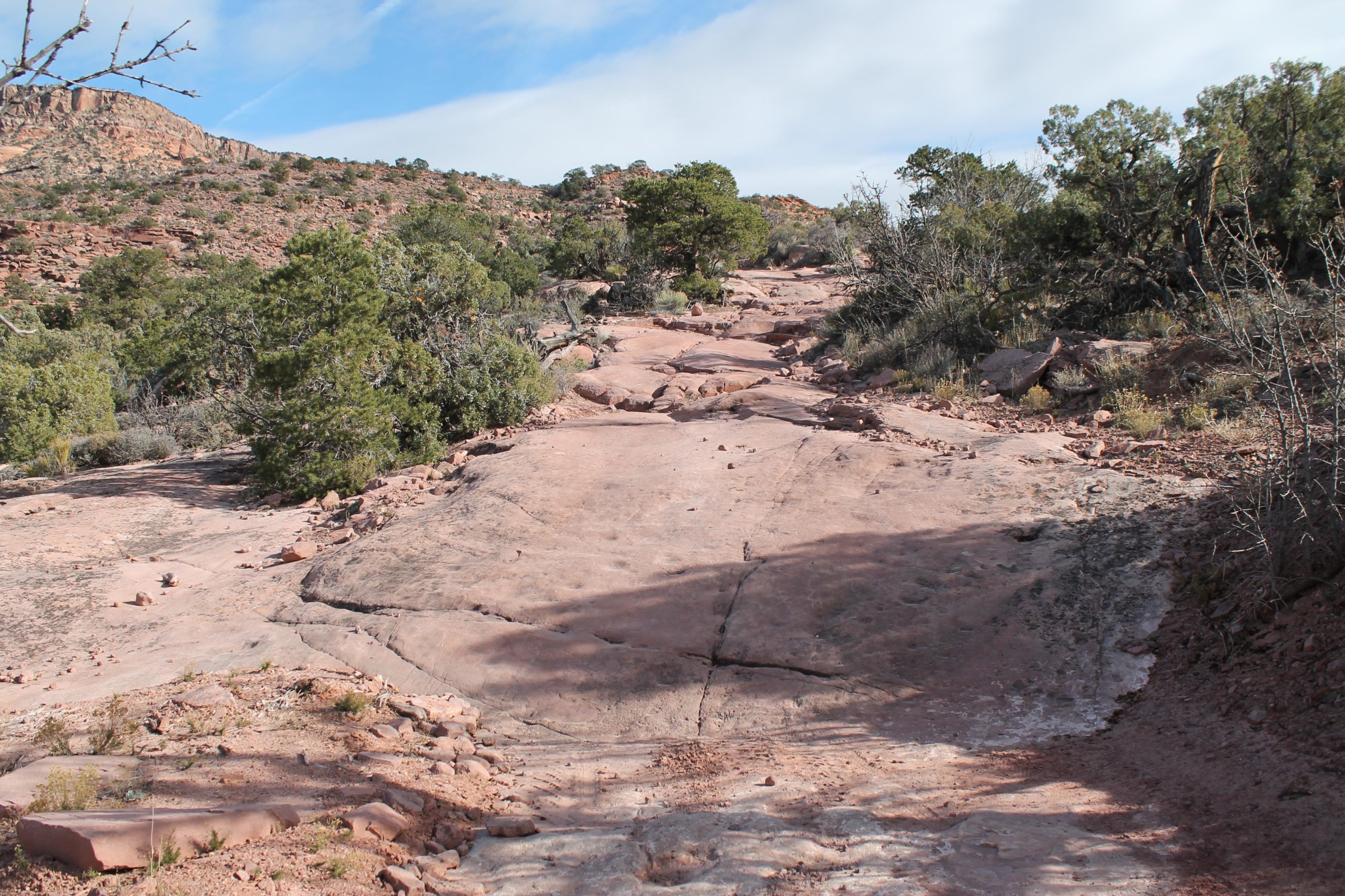 A rocky, natural pathway winding through a dry landscape, featuring smooth, reddish stone and scattered vegetation, including small shrubs and trees, under a partly cloudy sky. Flat Pass mountain bike trail.