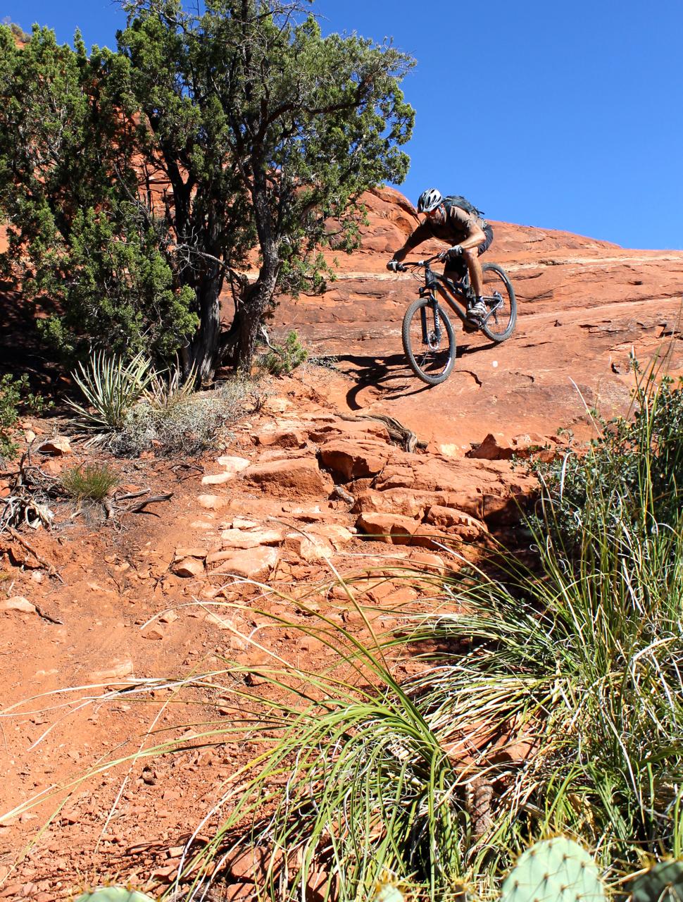 A mountain biker descending a rocky slope in a rugged outdoor setting, surrounded by desert vegetation and blue skies. Hiline mountain bike trail.