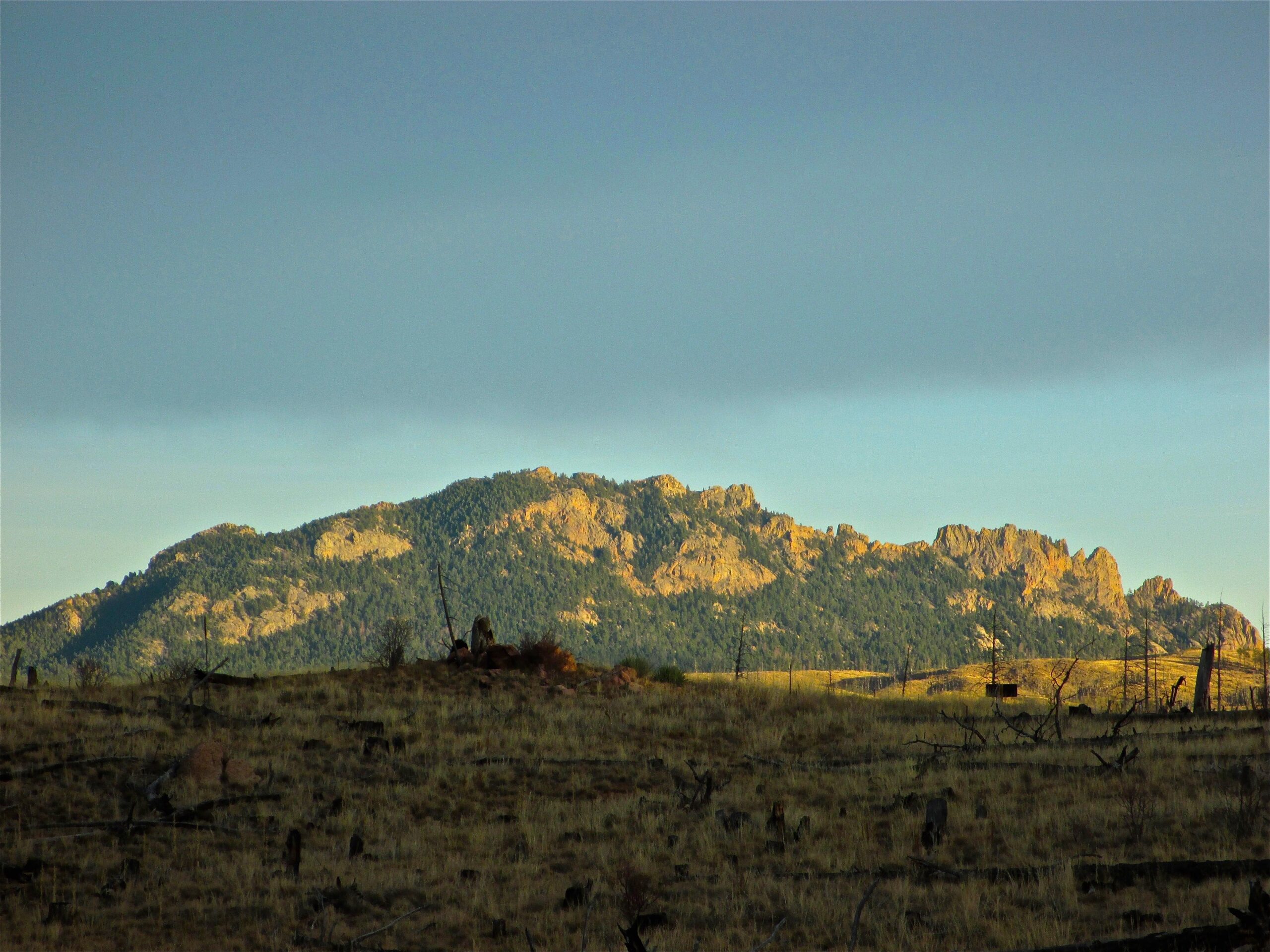 A rugged mountain landscape bathed in warm sunlight, with a mixture of rocky formations and green foliage against a clear sky. The foreground features dry grass and scattered tree stumps, creating a contrast with the distant peaks. Buffalo Creek mountain bike trail.