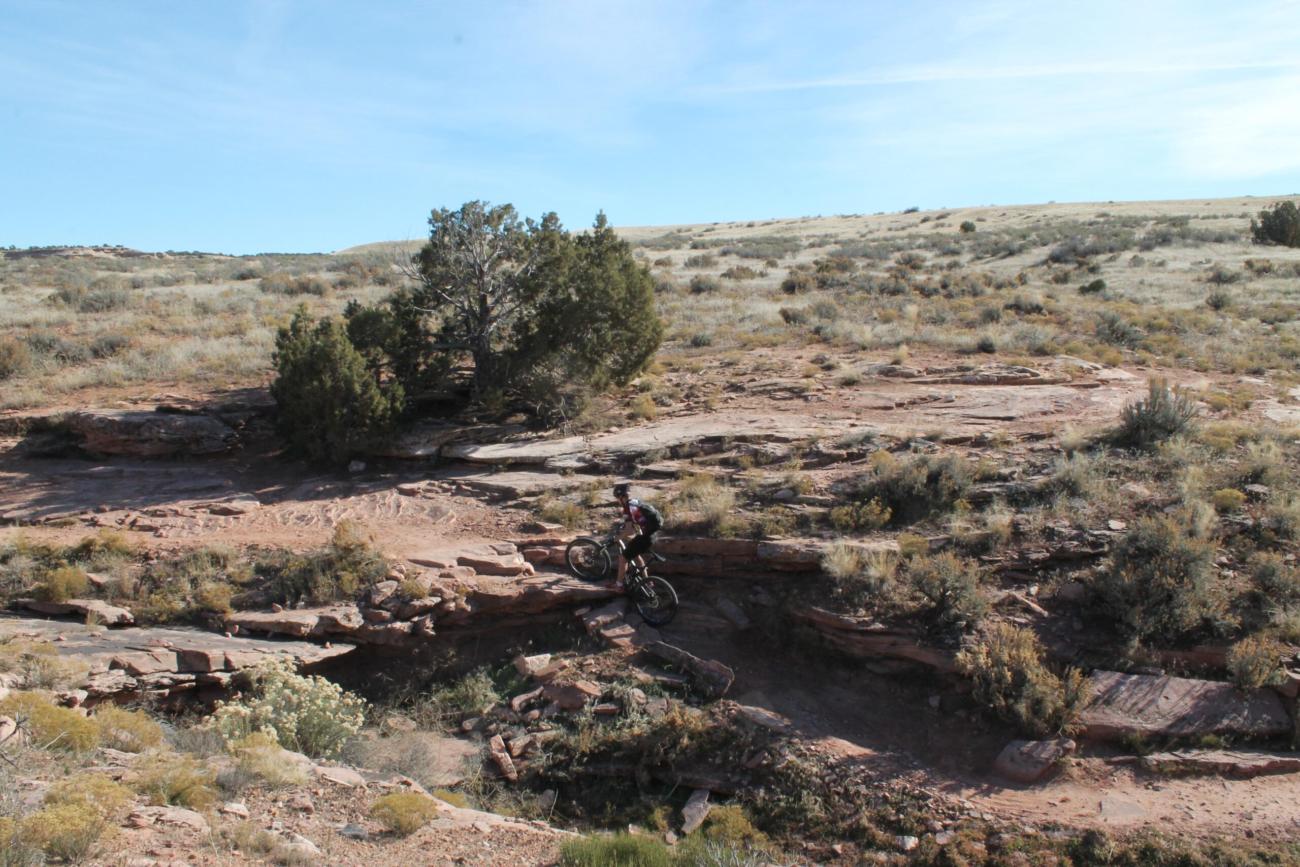 A mountain biker traverses a rocky terrain, navigating through a dry landscape dotted with scrub vegetation and low shrubs. The scene shows a clear blue sky and gentle hills in the background, highlighting the rugged beauty of the outdoors. Mary's Loop / Horsethief Bench mountain bike trail.