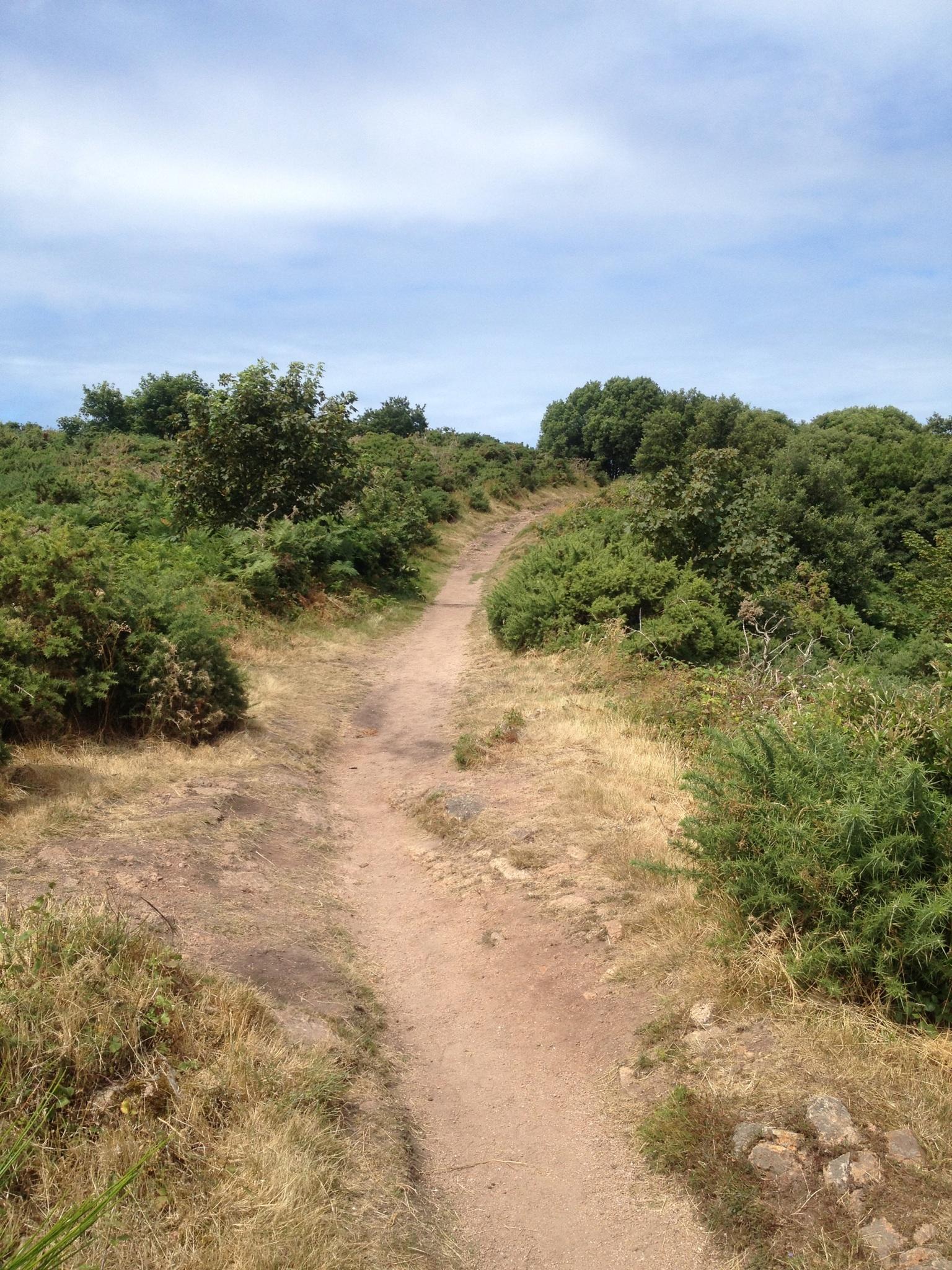 A winding dirt path surrounded by greenery, leading through a hilly landscape under a clear blue sky. The path is flanked by patches of grass and shrubs, inviting exploration into the natural scenery. St Brelade loop smash mountain bike trail.