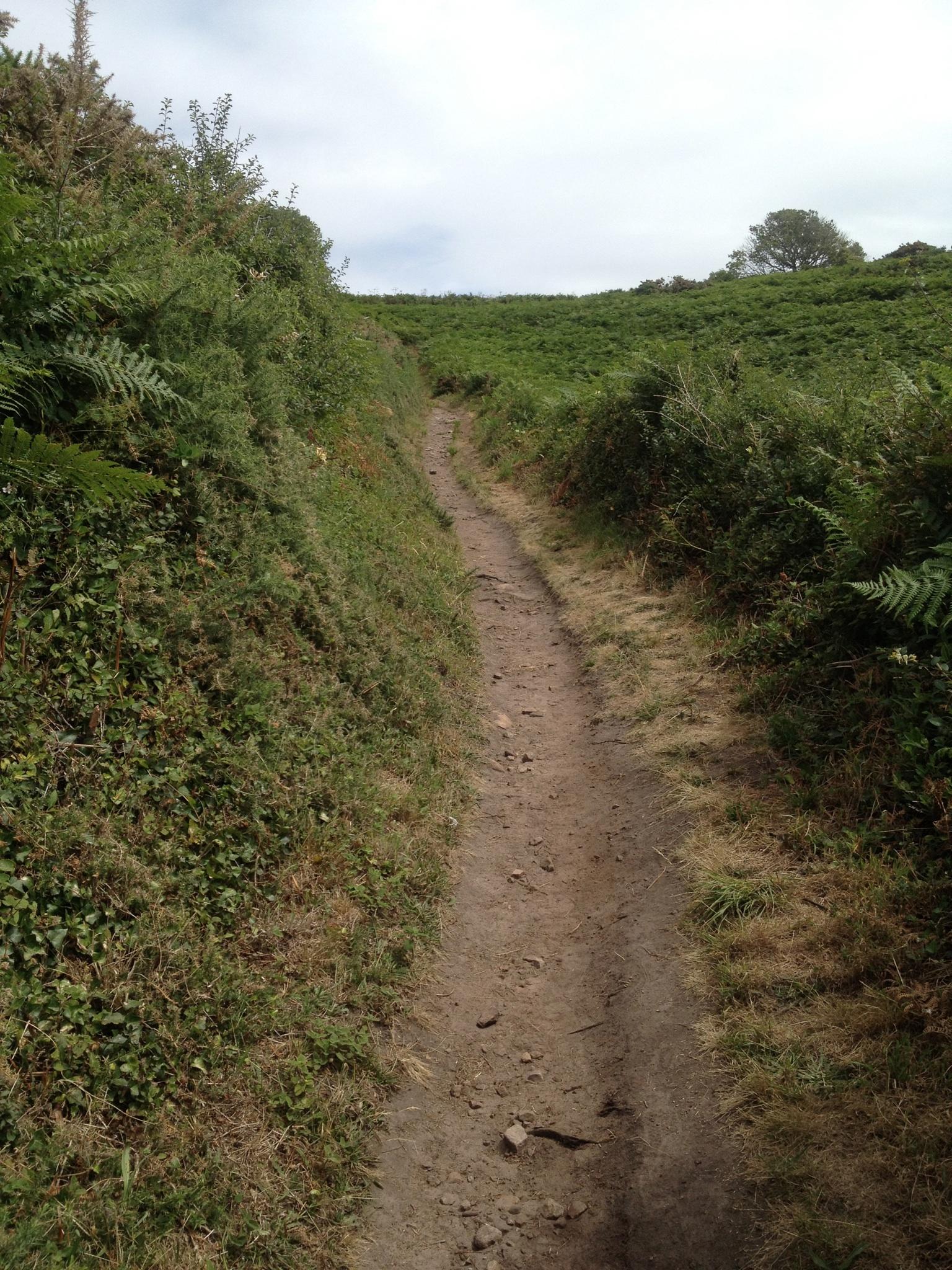 A narrow dirt path winding through lush greenery and ferns, leading up a gentle slope under a cloudy sky. The path shows signs of use, with some rocks visible along the edges. St Brelade loop smash mountain bike trail.