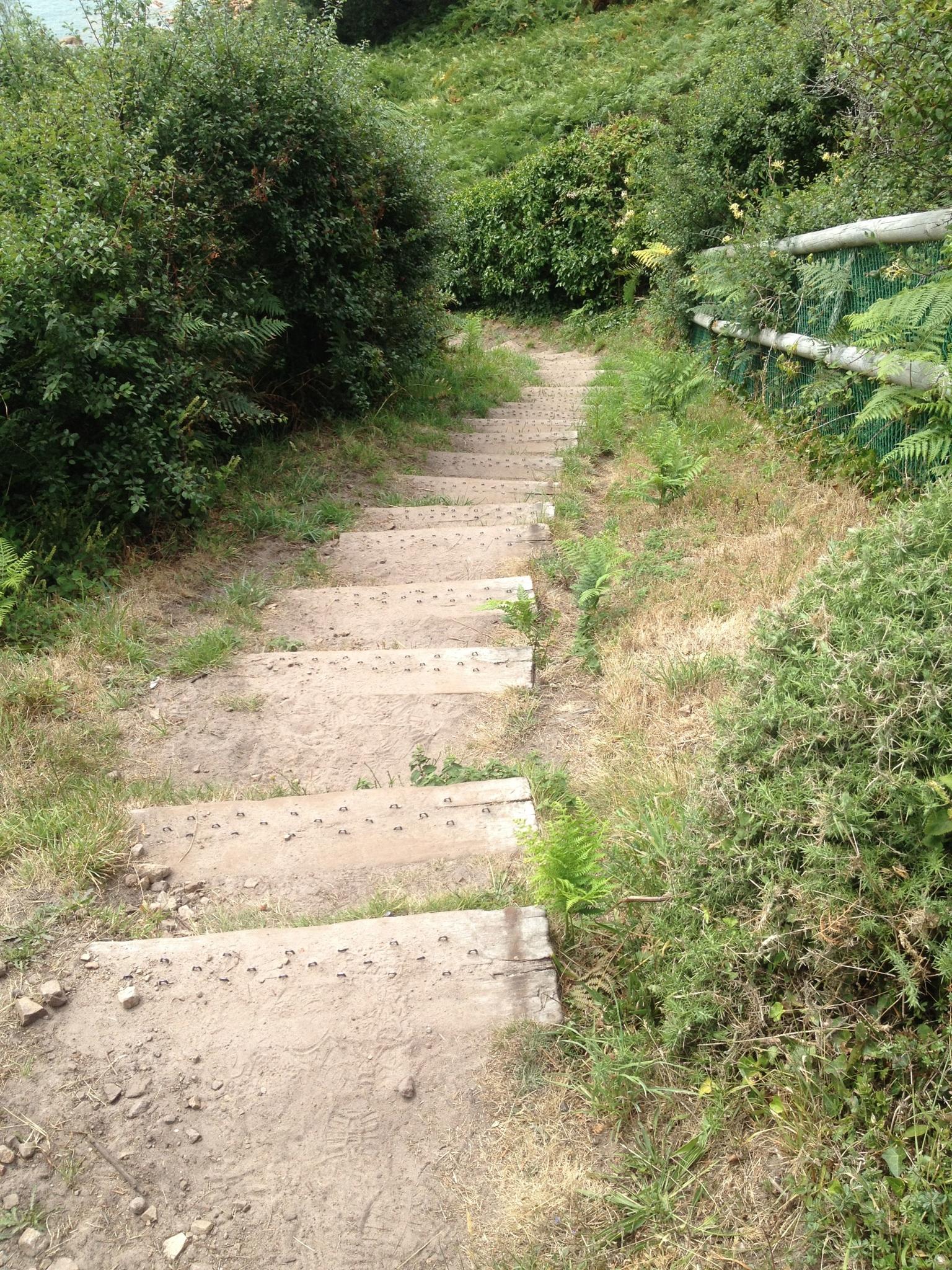 A winding dirt path with stone steps leads through lush greenery, flanked by bushes and ferns. The surrounding area appears natural and well-maintained, with a fence visible on one side. St Brelade loop smash mountain bike trail.