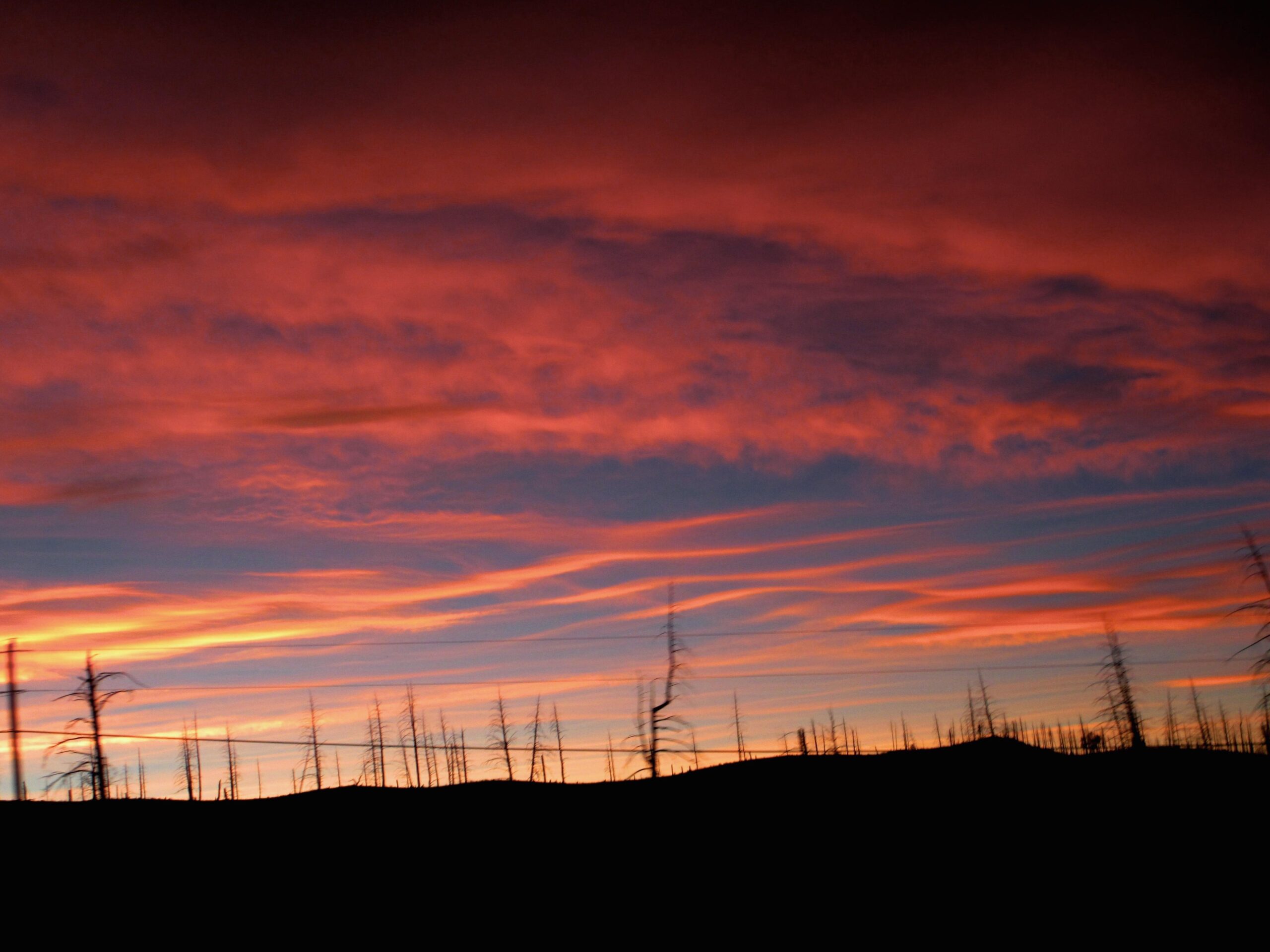 Silhouette of burnt trees against a vibrant sunset sky filled with hues of orange, pink, and purple, transitioning into a deep blue. The dramatic clouds add texture to the scene, while the horizon features rolling hills. Buffalo Creek mountain bike trail.