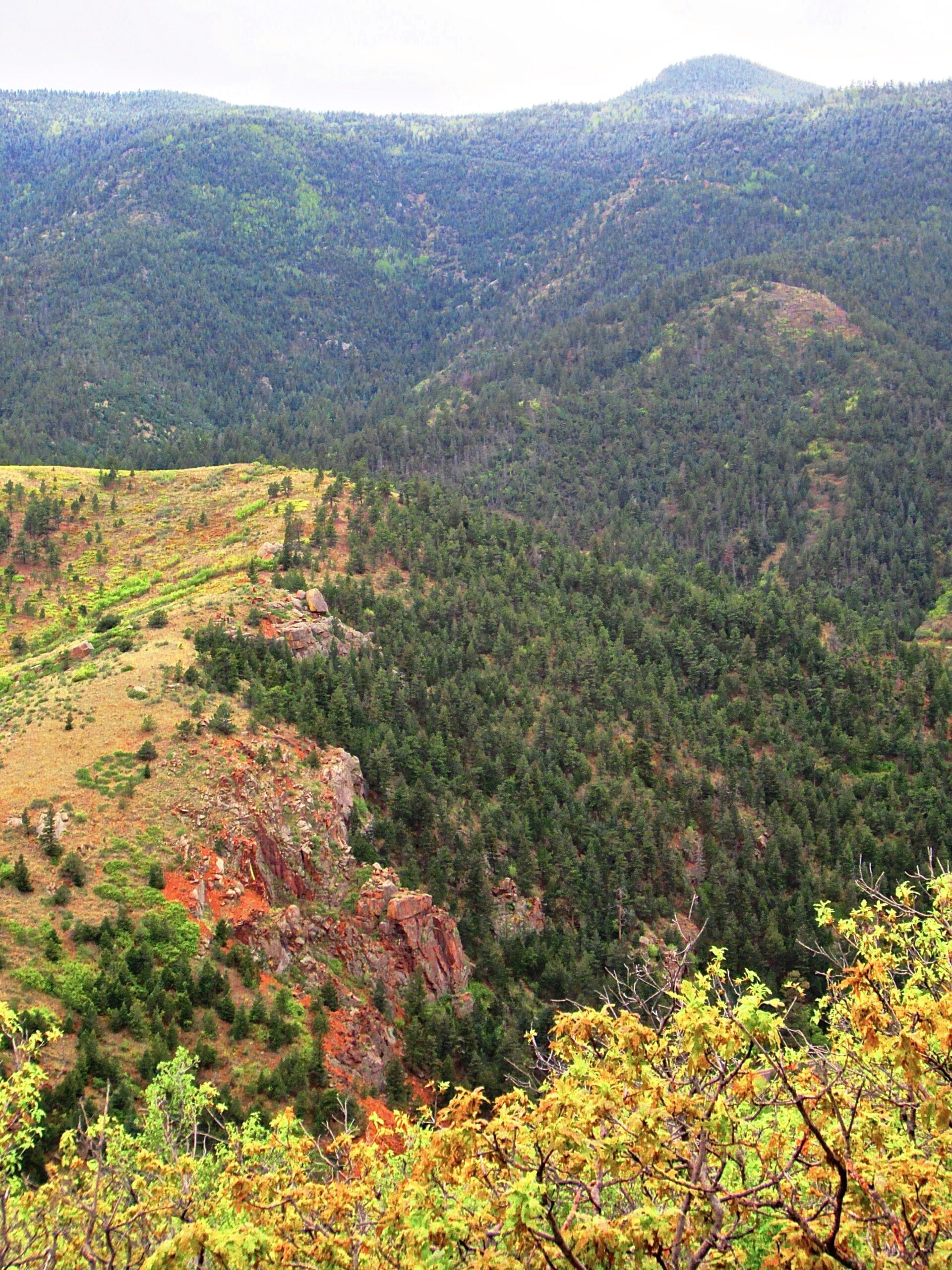 A scenic view of rolling green mountains, featuring steep slopes covered in dense pine forests, rocky outcrops, and patches of red soil. The landscape is lush and vibrant, indicative of a mountainous region, with a cloudy sky partially obscuring the peaks in the background. Waldo Canyon mountain bike trail.
