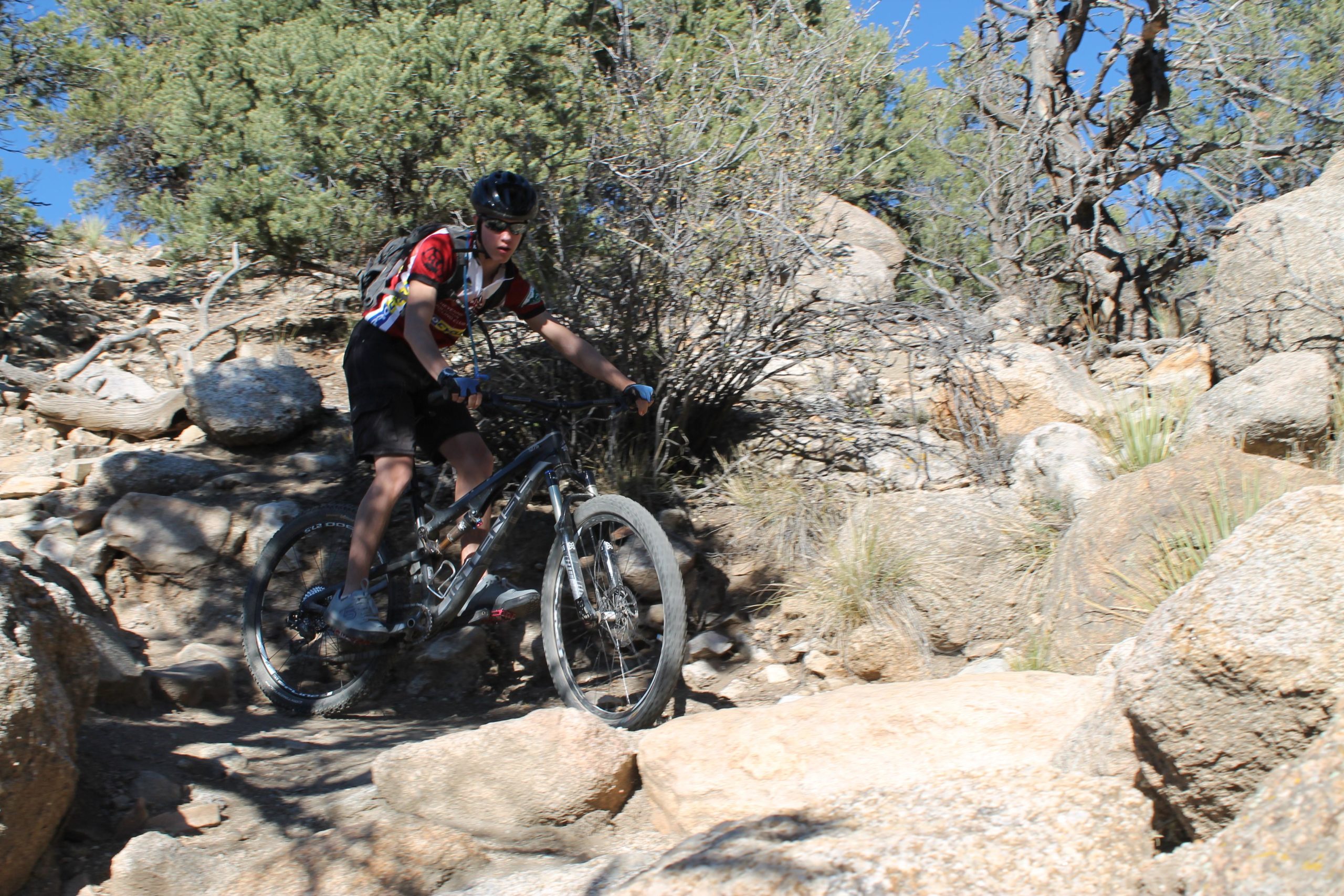 A person riding a mountain bike over rocky terrain, surrounded by shrubs and trees under a clear blue sky. The rider is wearing a helmet and colorful cycling gear. Whipple Trail System mountain bike trail.