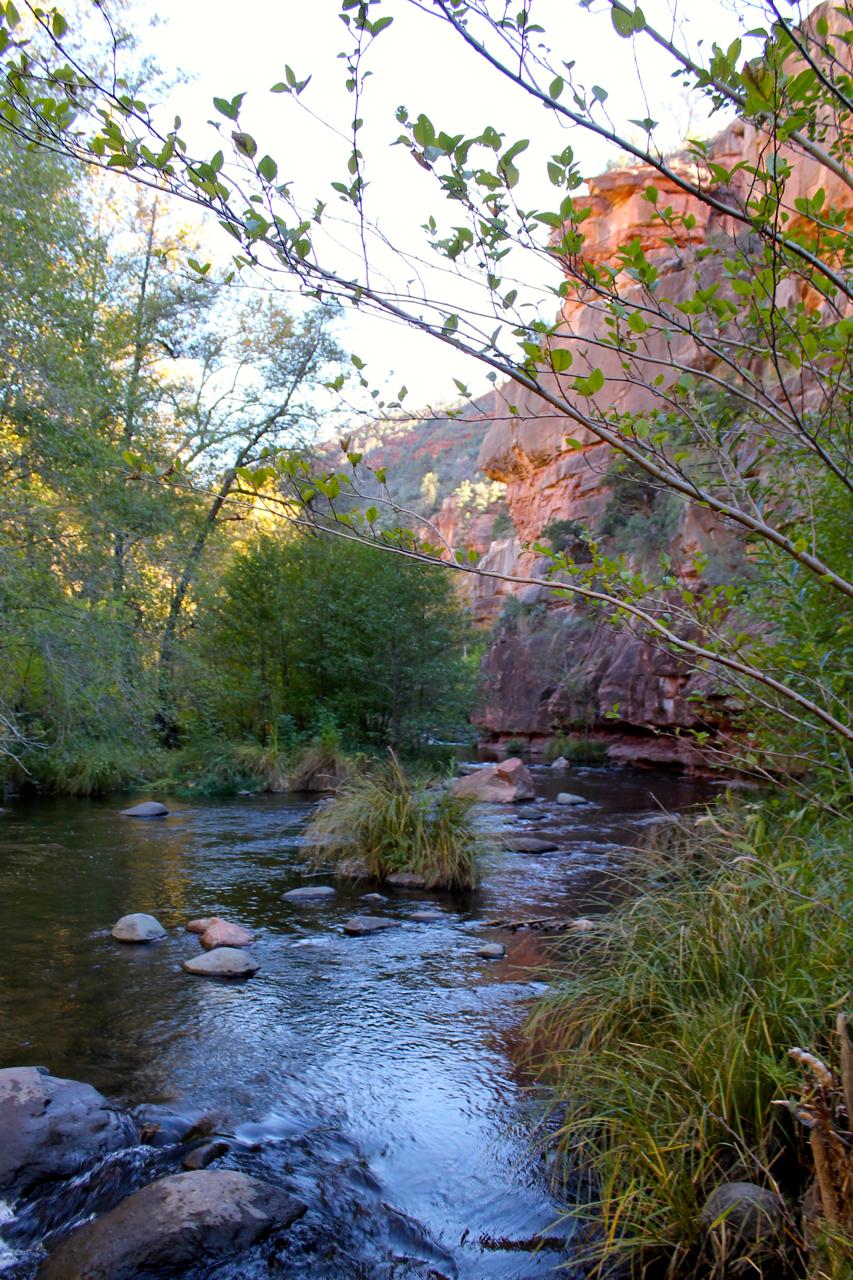 A tranquil river flows through a canyon, surrounded by lush greenery and rocky cliffs. Sunlight filters through the trees, casting a warm glow on the landscape. Various rocks and small patches of grass emerge from the flowing water, creating a serene natural scene. Huckaby mountain bike trail.