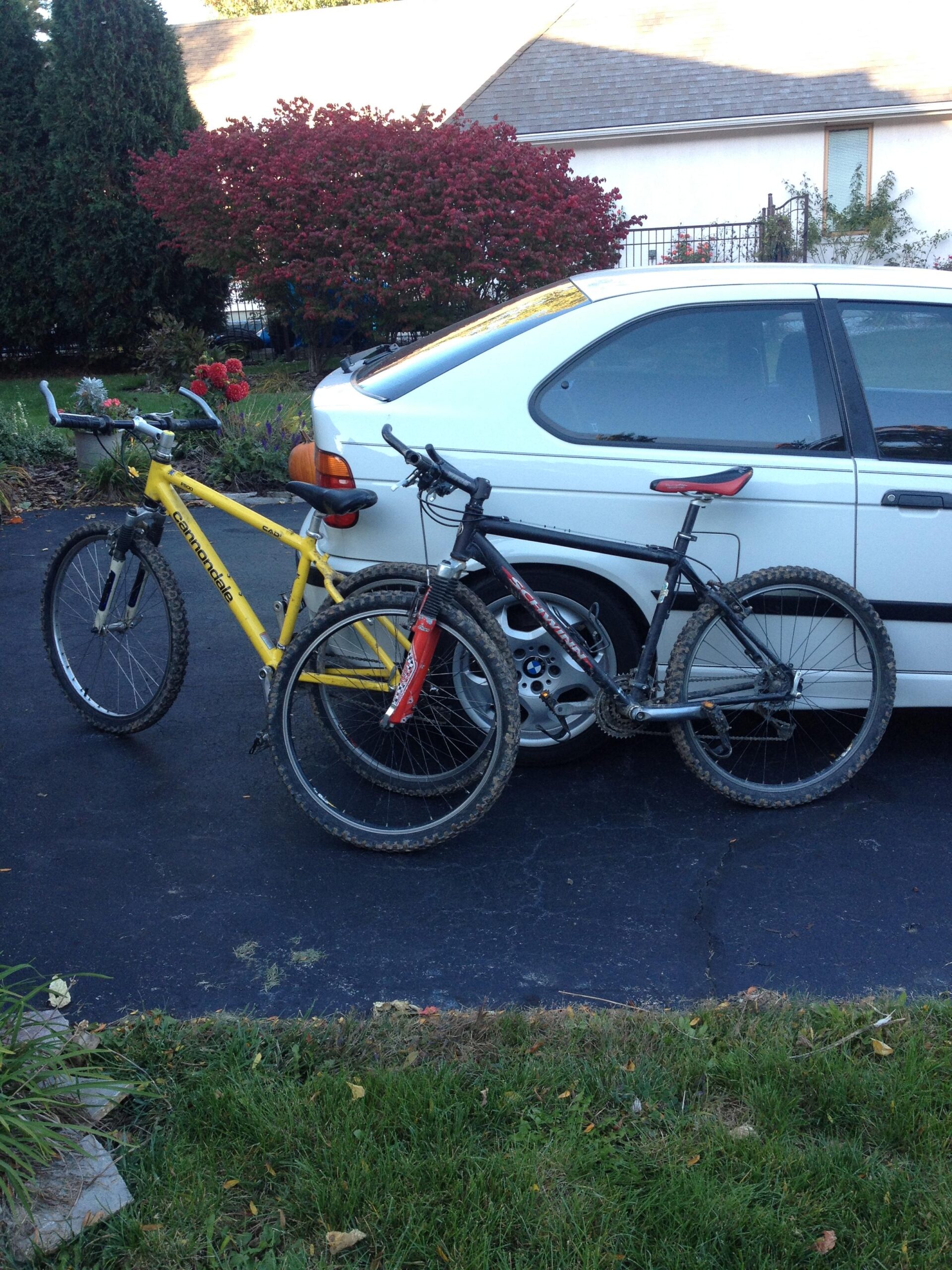 Schwinn Homegrown: Two mountain bikes parked next to a white car on a driveway. The bike on the left is yellow, and the bike on the right is black with a red seat. In the background, there is a bush with red foliage and various plants in a garden. The scene is set in a residential area.