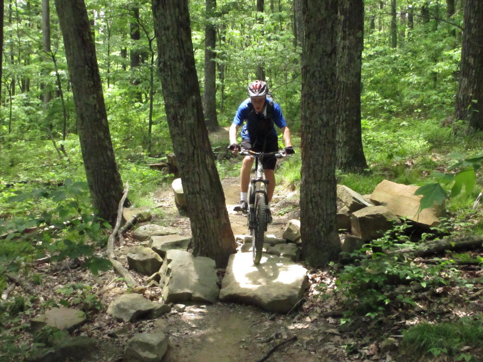 A person riding a mountain bike on a rocky trail in a wooded area, surrounded by green trees and vegetation. Brown County Park mountain bike trail.