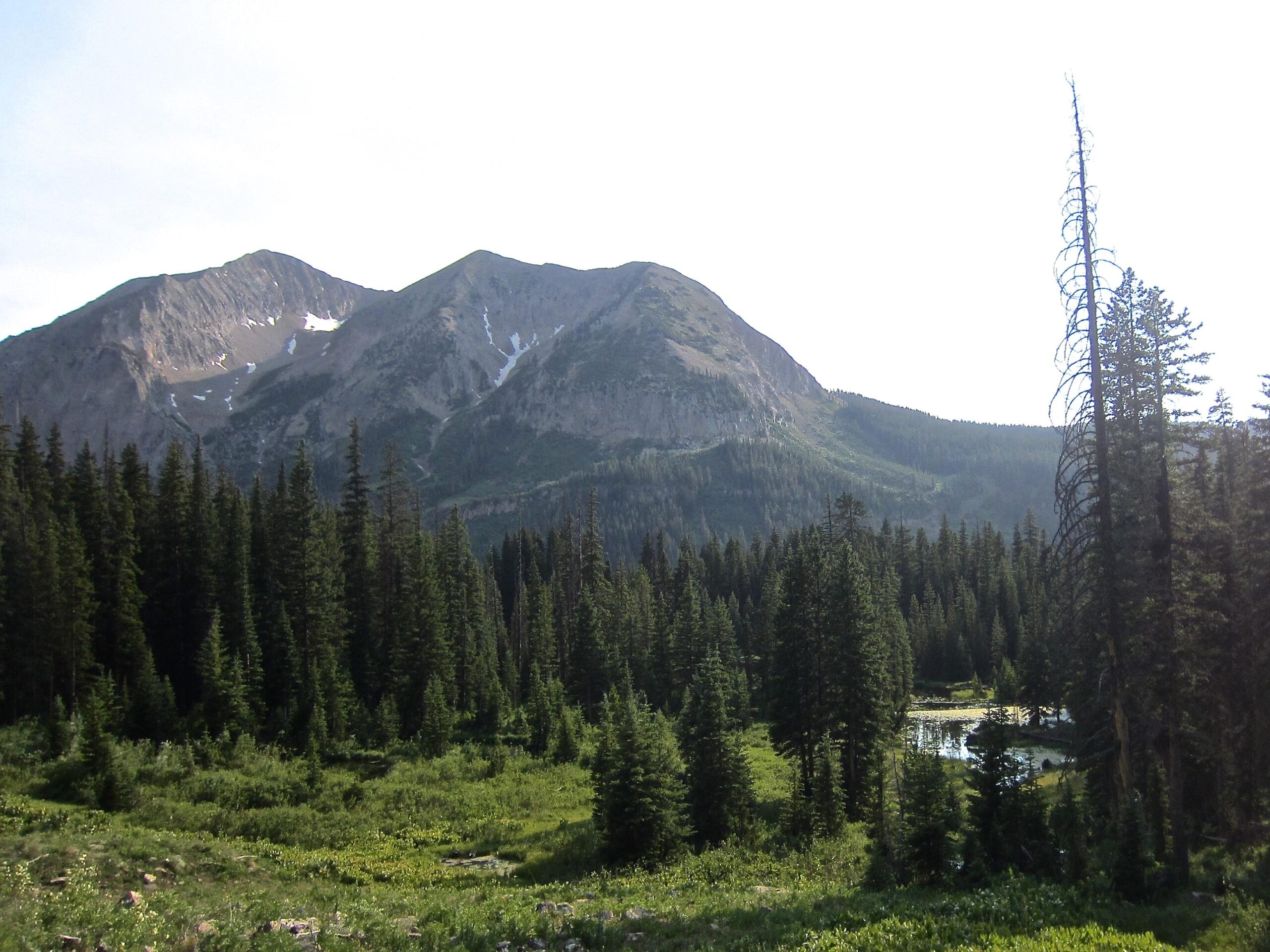 A panoramic view of a mountainous landscape featuring tall green pine trees in the foreground, with a small tranquil pond visible among the foliage. In the background, two rugged mountains rise, showcasing rocky slopes and patches of snow, under a clear sky. The scene conveys a serene and pristine wilderness environment. Trail 401 mountain bike trail.