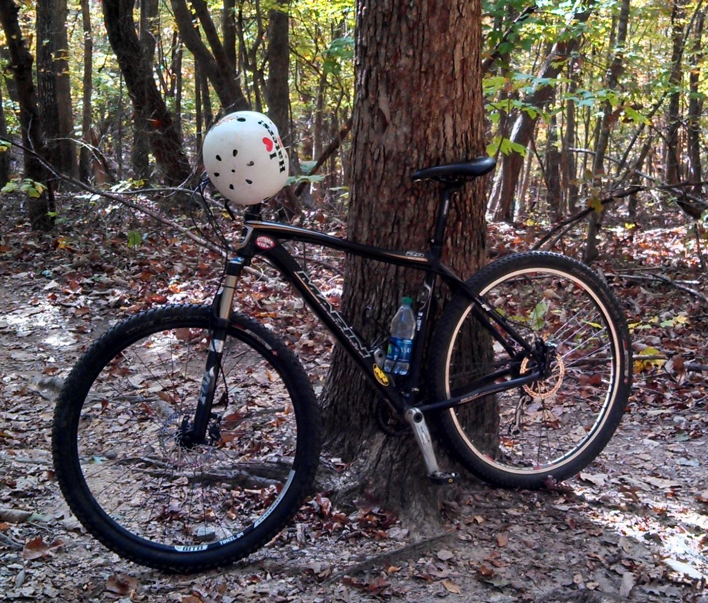 Marin Nail Trail 29er 2014: A mountain bike leaning against a tree in a wooded area, with fallen leaves on the ground. A white helmet rests on the bike's handlebars, and a water bottle is securely attached to the frame. The scene captures a peaceful outdoor environment, ideal for biking trails.