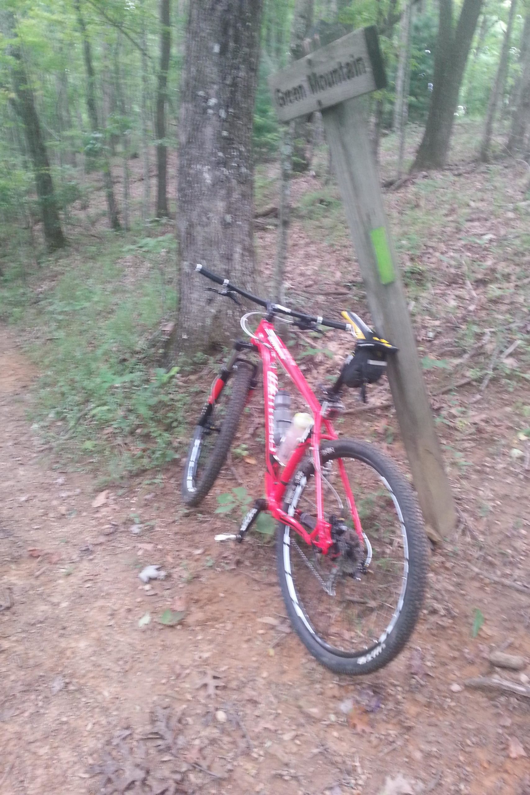 A red mountain bike leaning against a tree next to a wooden sign labeled "Green Mountain." The scene is set in a lush, green forest with dirt trails and scattered leaves on the ground. Aska Trail System mountain bike trail.