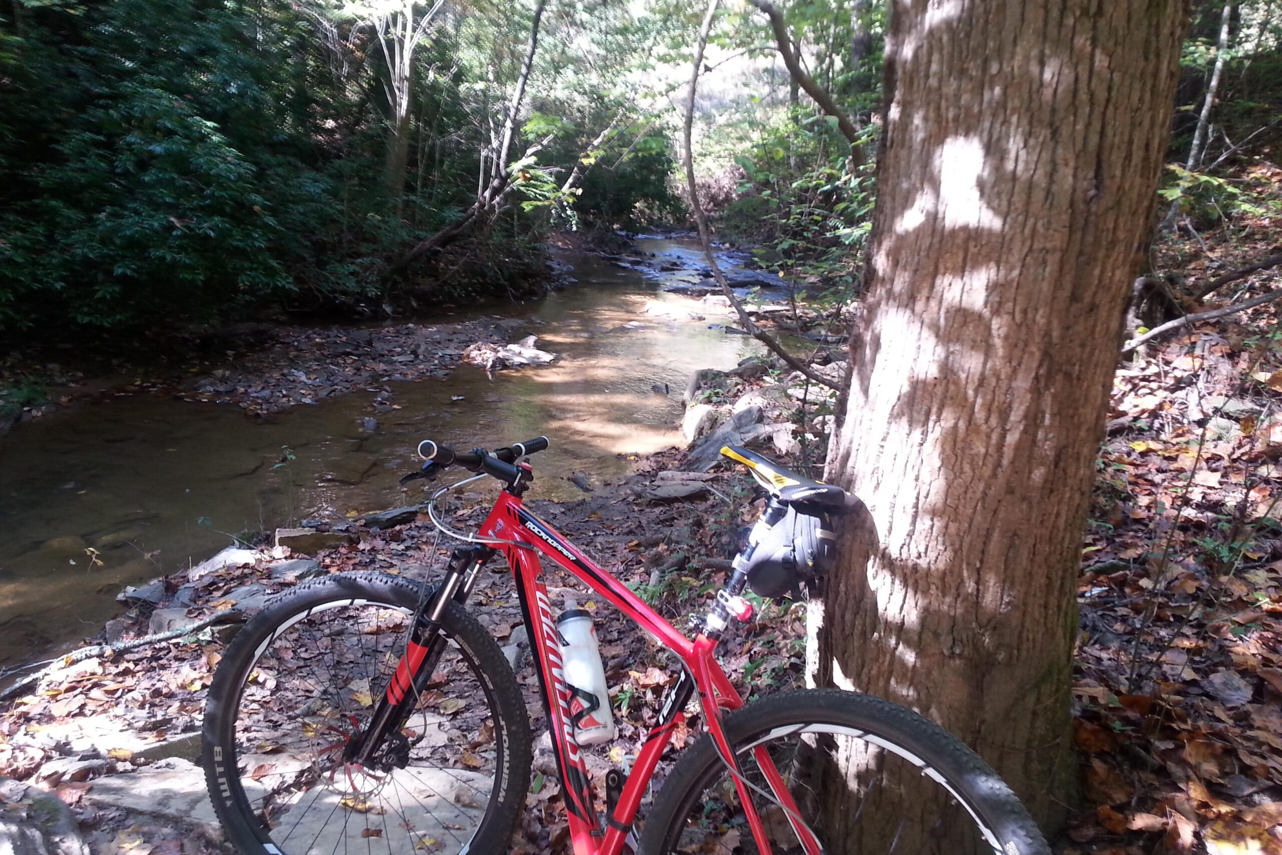A red mountain bike rests beside a clear, gently flowing creek, surrounded by lush green trees and fallen leaves. Sunlight filters through the canopy, casting dappled shadows on the ground. Chicopee Woods mountain bike trail.