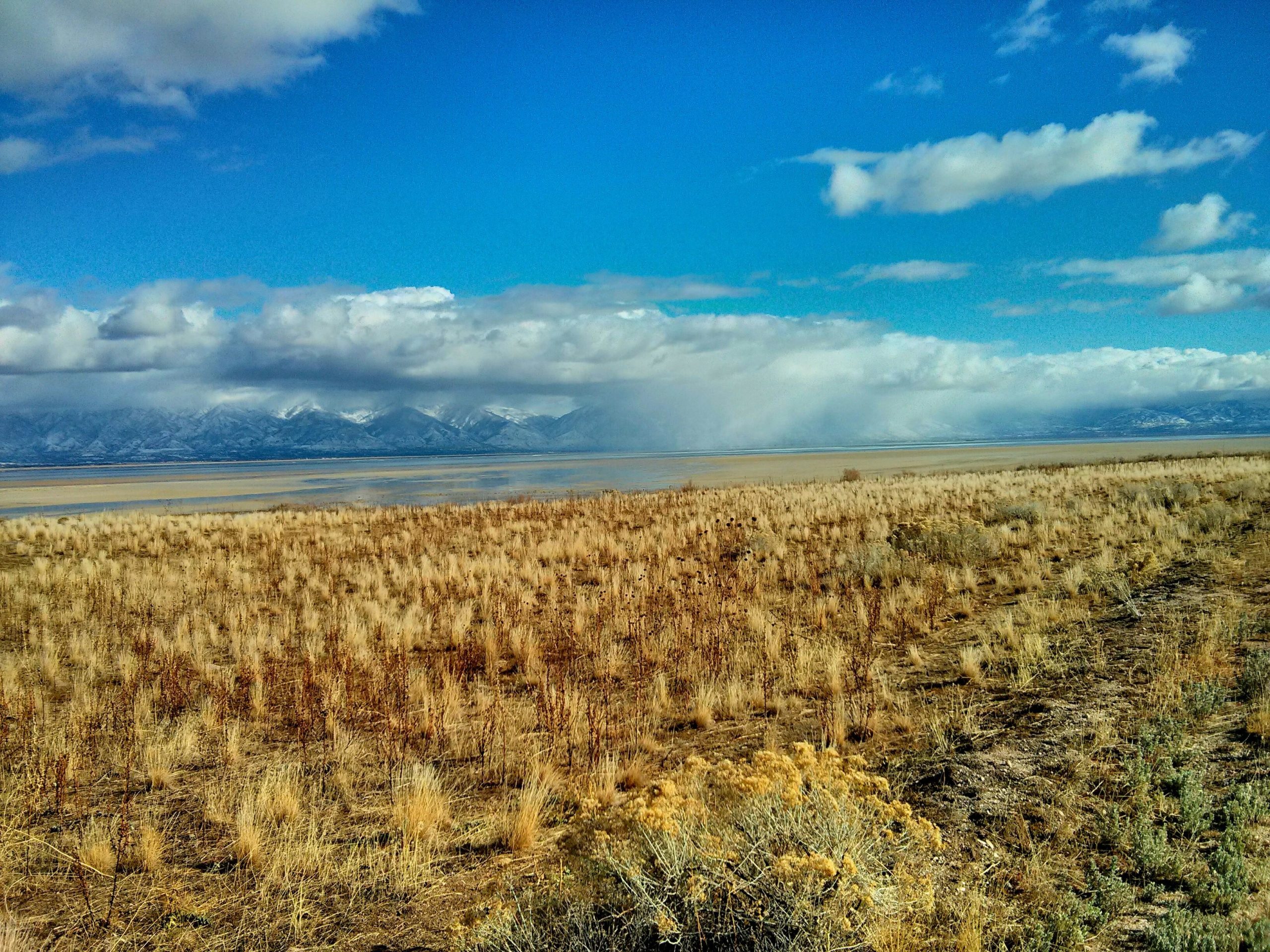 A wide view of a tranquil landscape featuring a grassy plain in the foreground, leading to a shimmering body of water. In the background, snow-capped mountains rise under a blue sky adorned with fluffy white clouds, creating a serene natural scene. Antelope Island mountain bike trail.