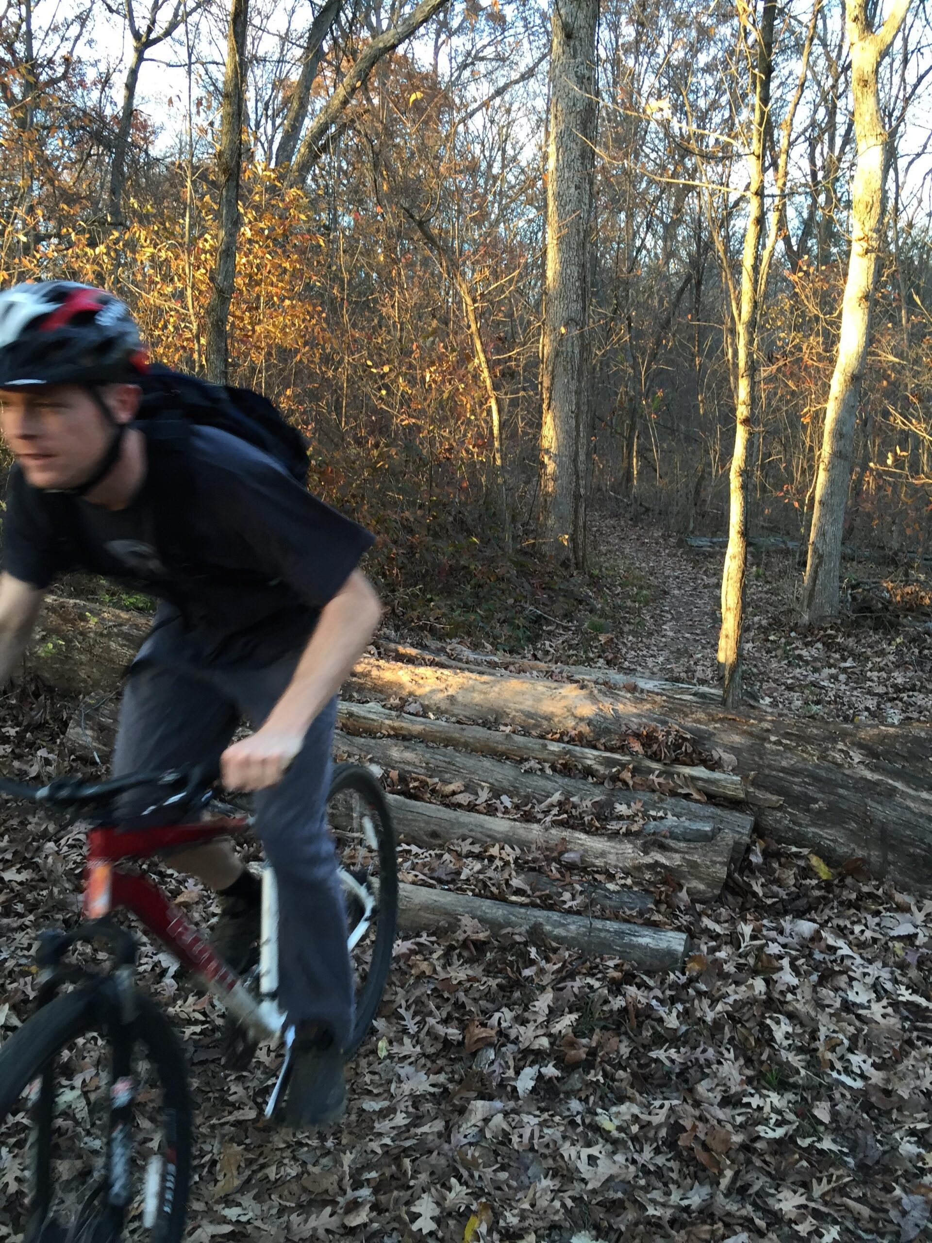 Kona Kahuna: A cyclist rides a mountain bike over a series of wooden logs on a forest trail covered with autumn leaves. The surrounding trees display fall foliage, and the scene is illuminated by soft sunlight filtering through the branches.