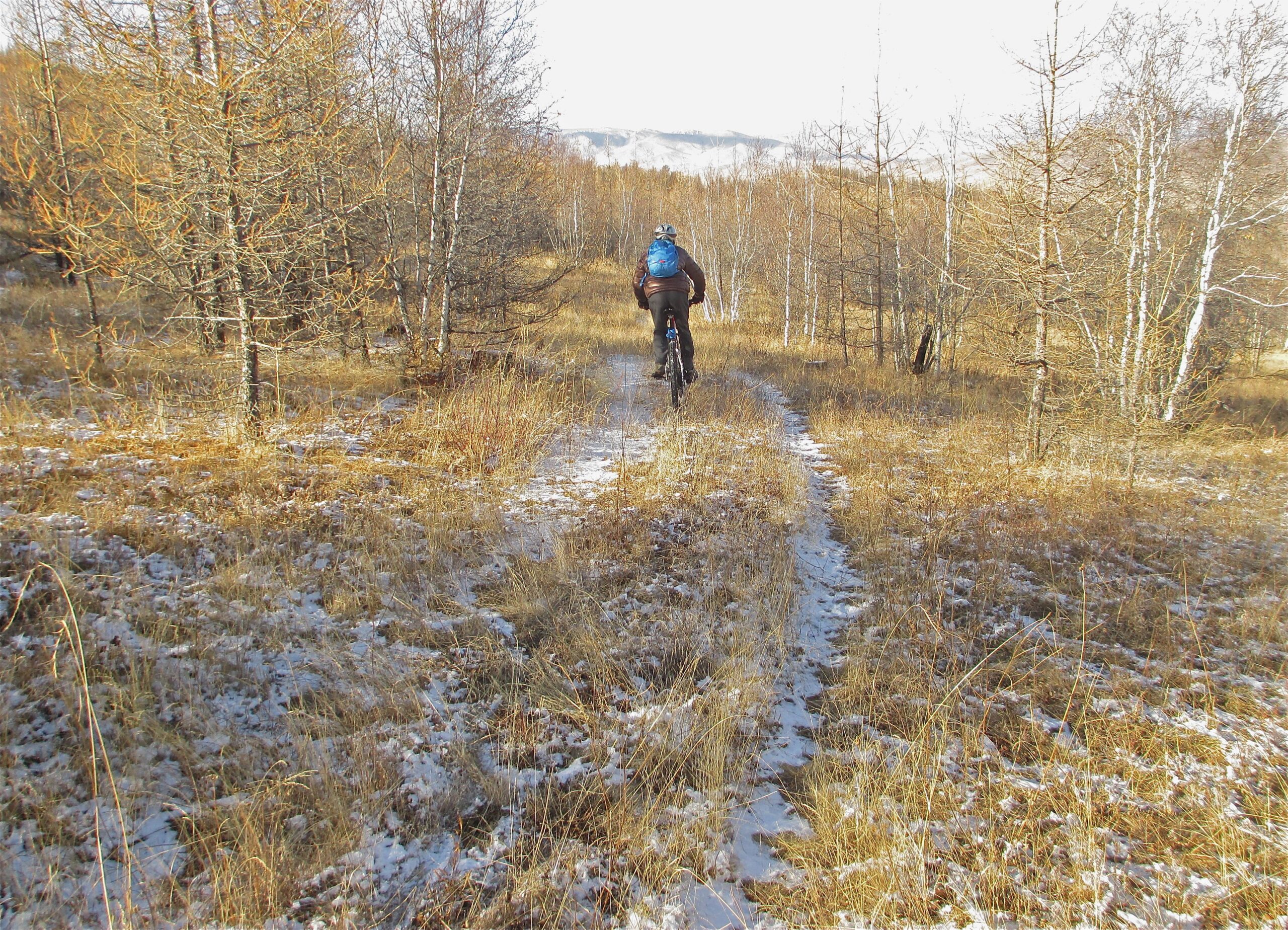 A person riding a mountain bike along a snowy, dirt trail in a wooded area with sparse trees and dry grass. The scene is set against a backdrop of distant mountains under a clear sky. Elst Uul mountain bike trail.