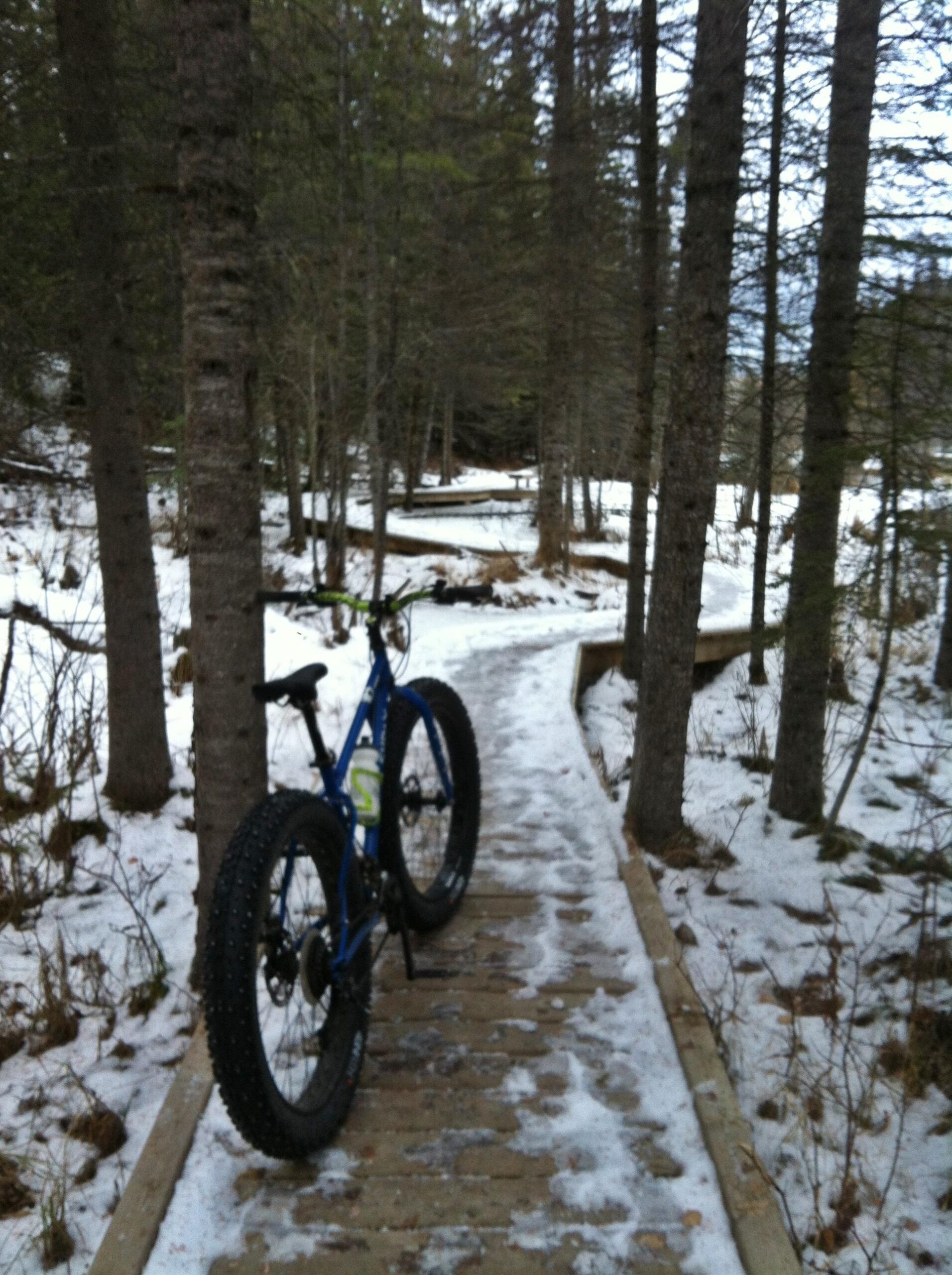 A blue fat bike stands on a snowy wooden path surrounded by evergreen trees. The trail winds through a quiet forest scene, with patches of snow on either side of the boardwalk. Maxwell Lake / Beaver Board Walk mountain bike trail.